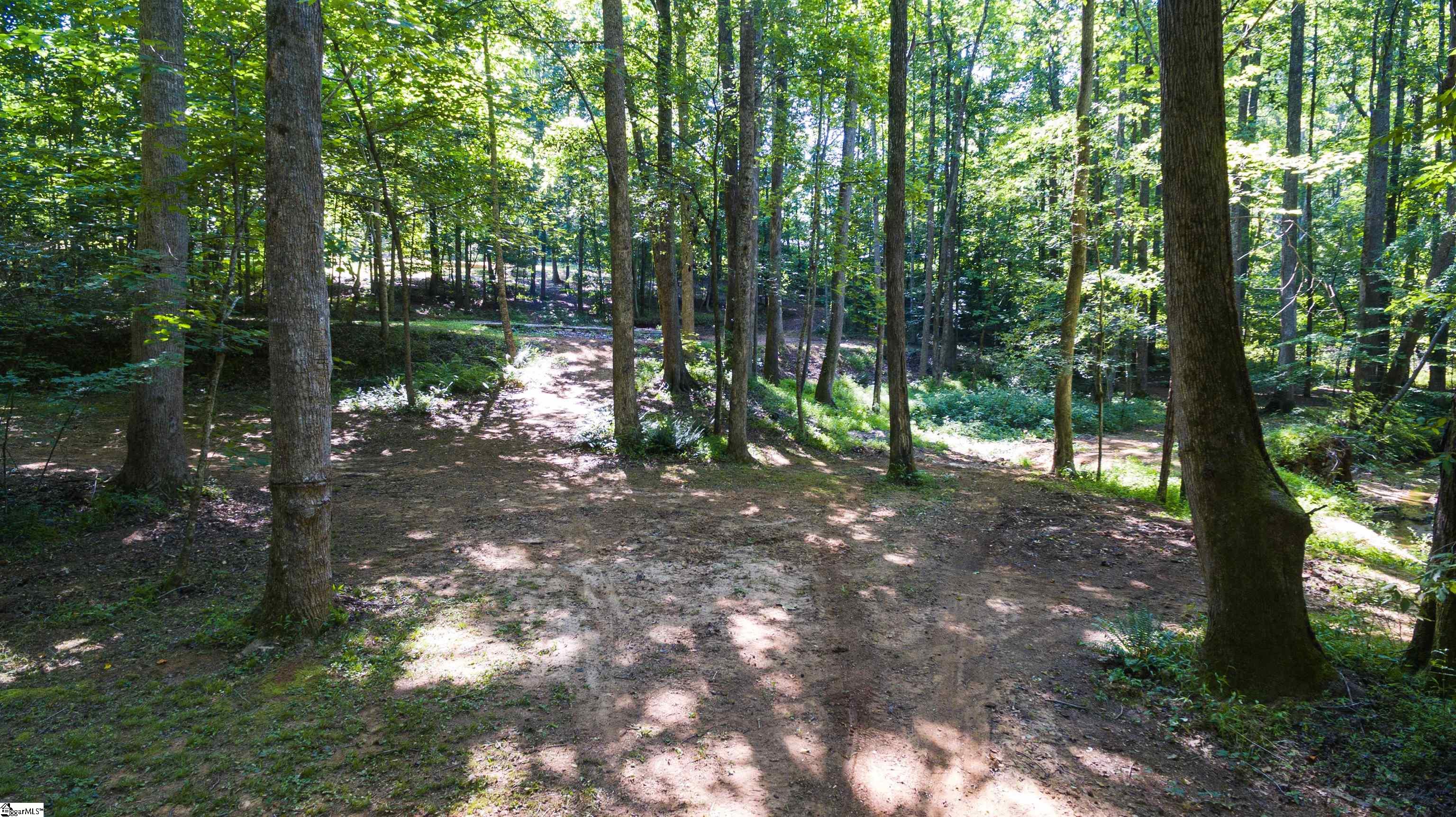 317 Edisto, Gray Court, South Carolina image 14