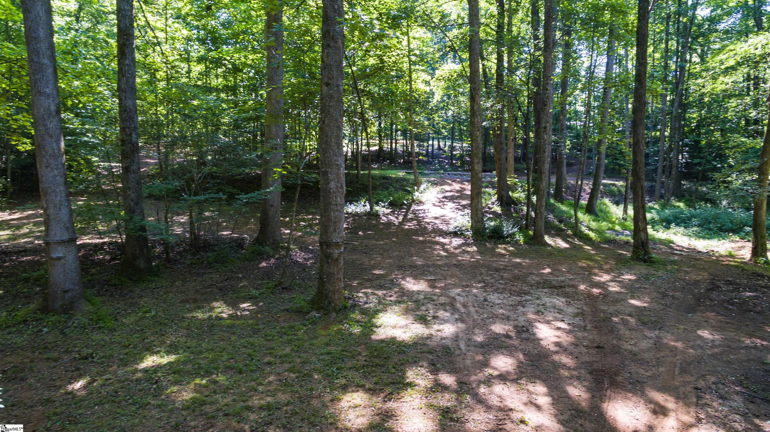 317 Edisto, Gray Court, South Carolina image 15