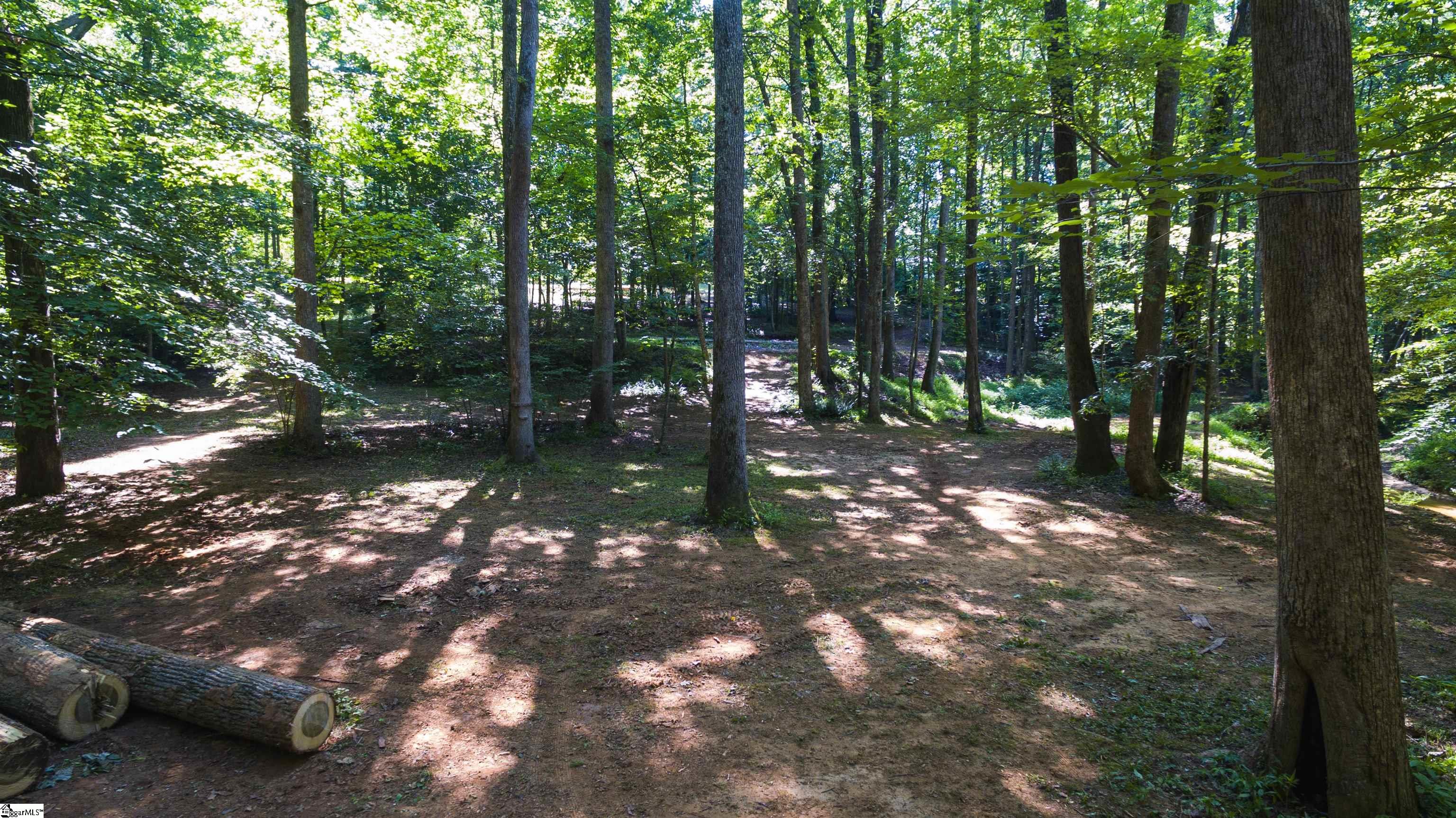 317 Edisto, Gray Court, South Carolina image 7