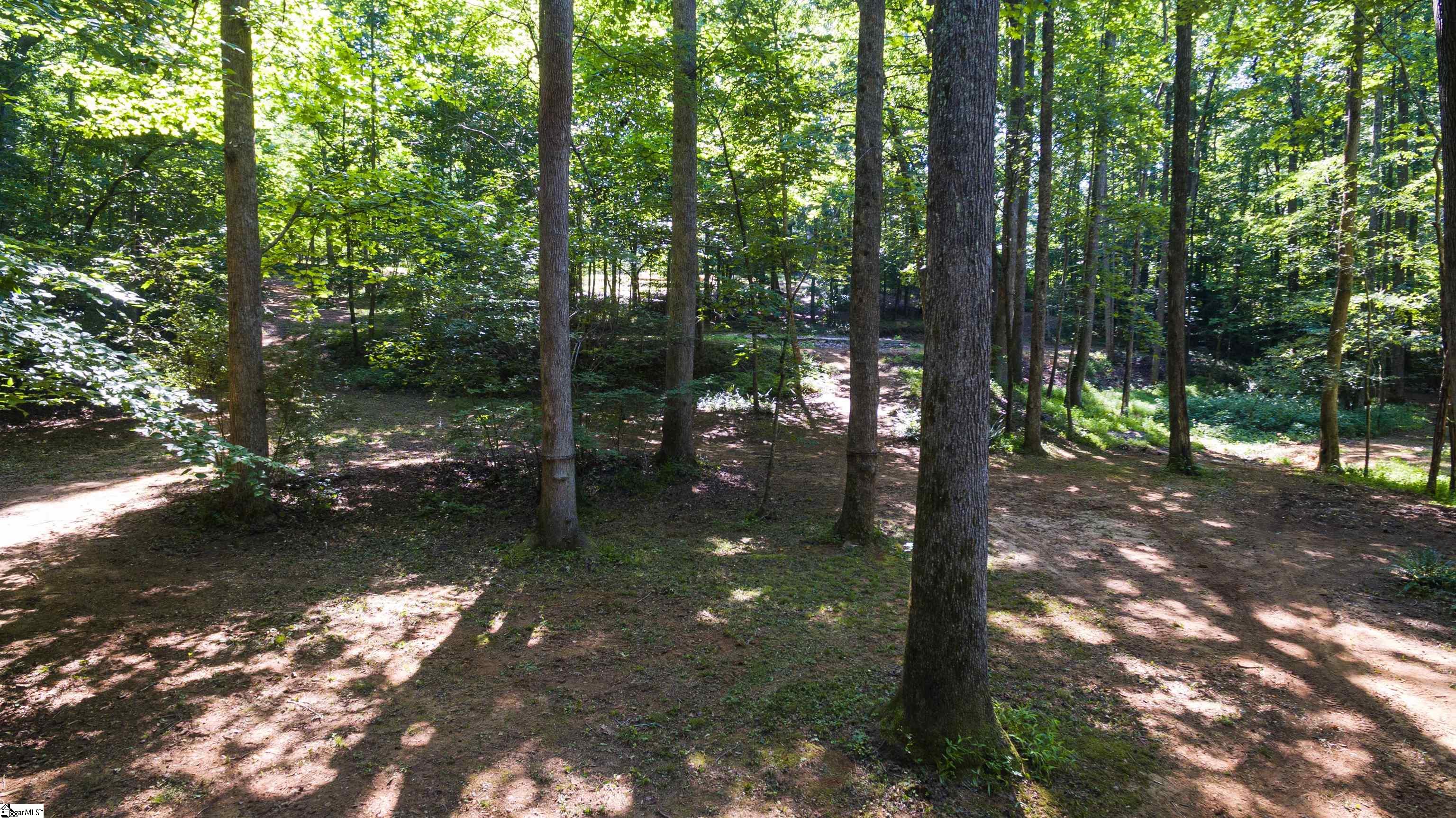 317 Edisto, Gray Court, South Carolina image 8