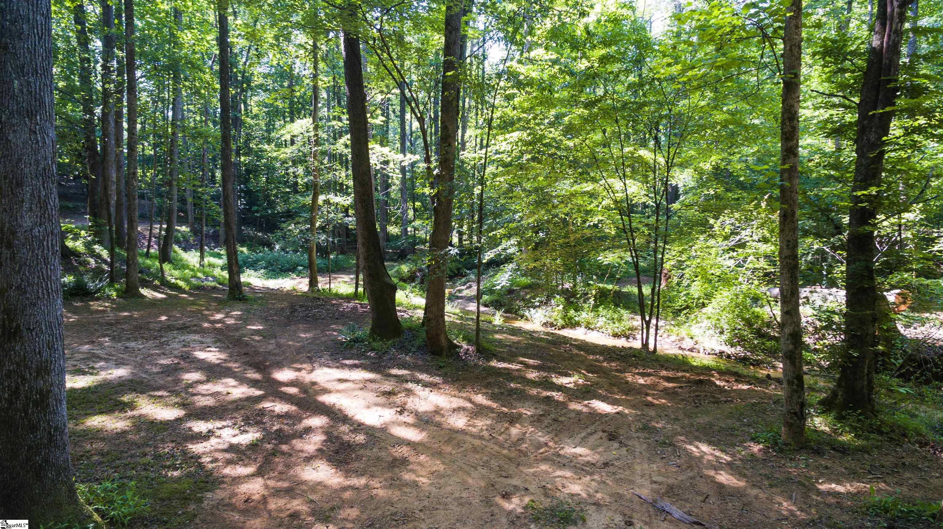 317 Edisto, Gray Court, South Carolina image 10