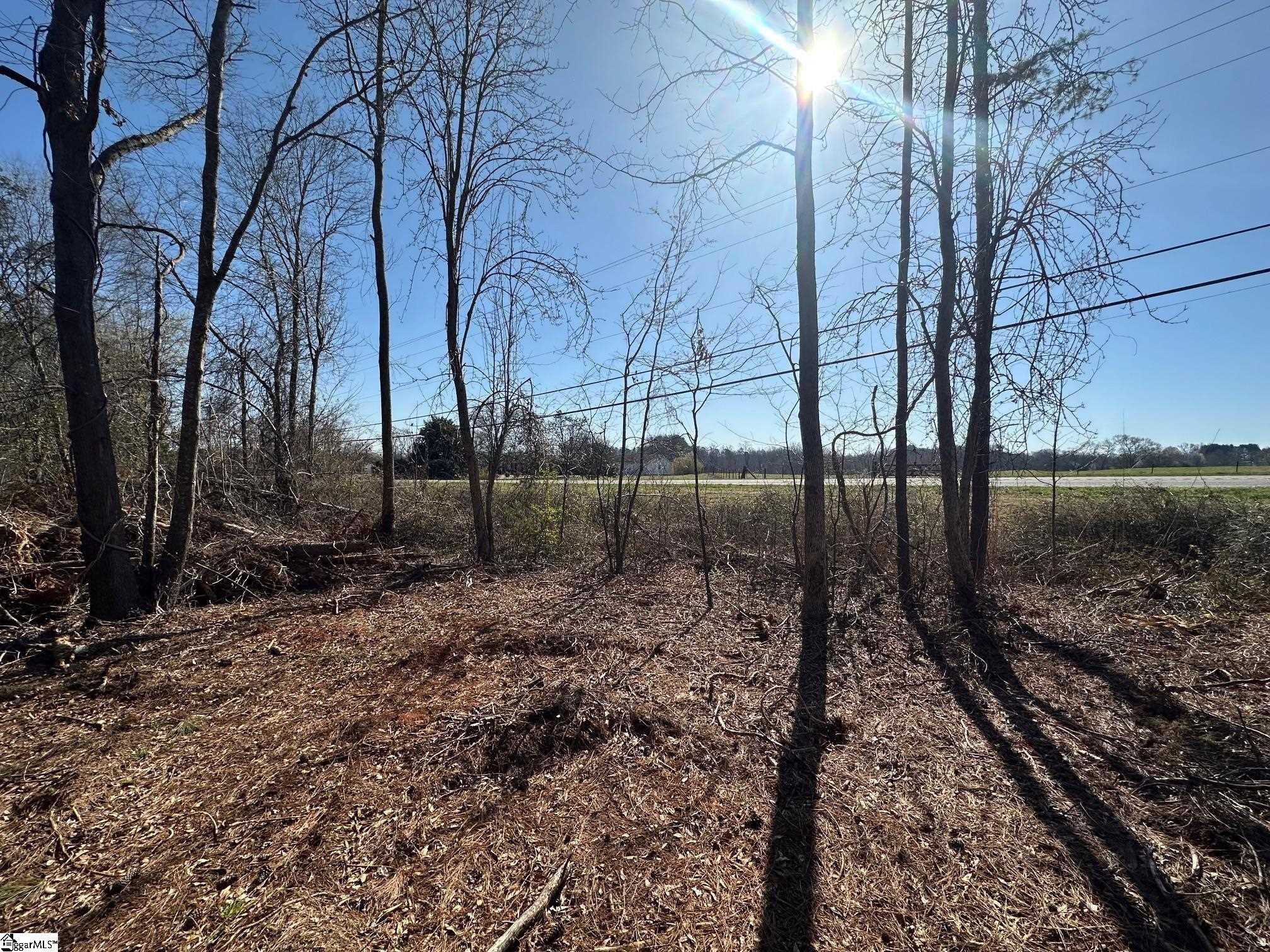 Sc Highway 11, Inman, South Carolina image 5
