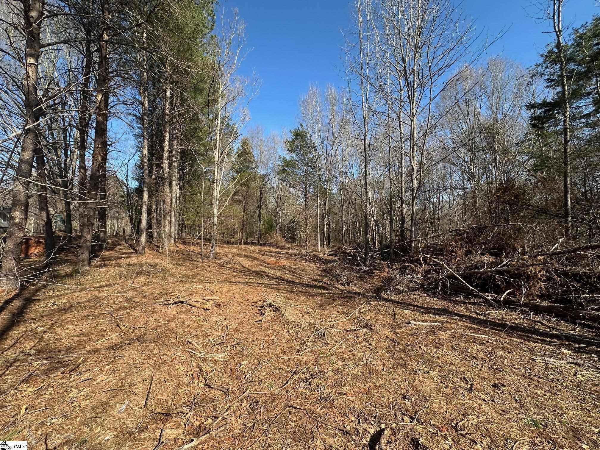 Sc Highway 11, Inman, South Carolina image 6