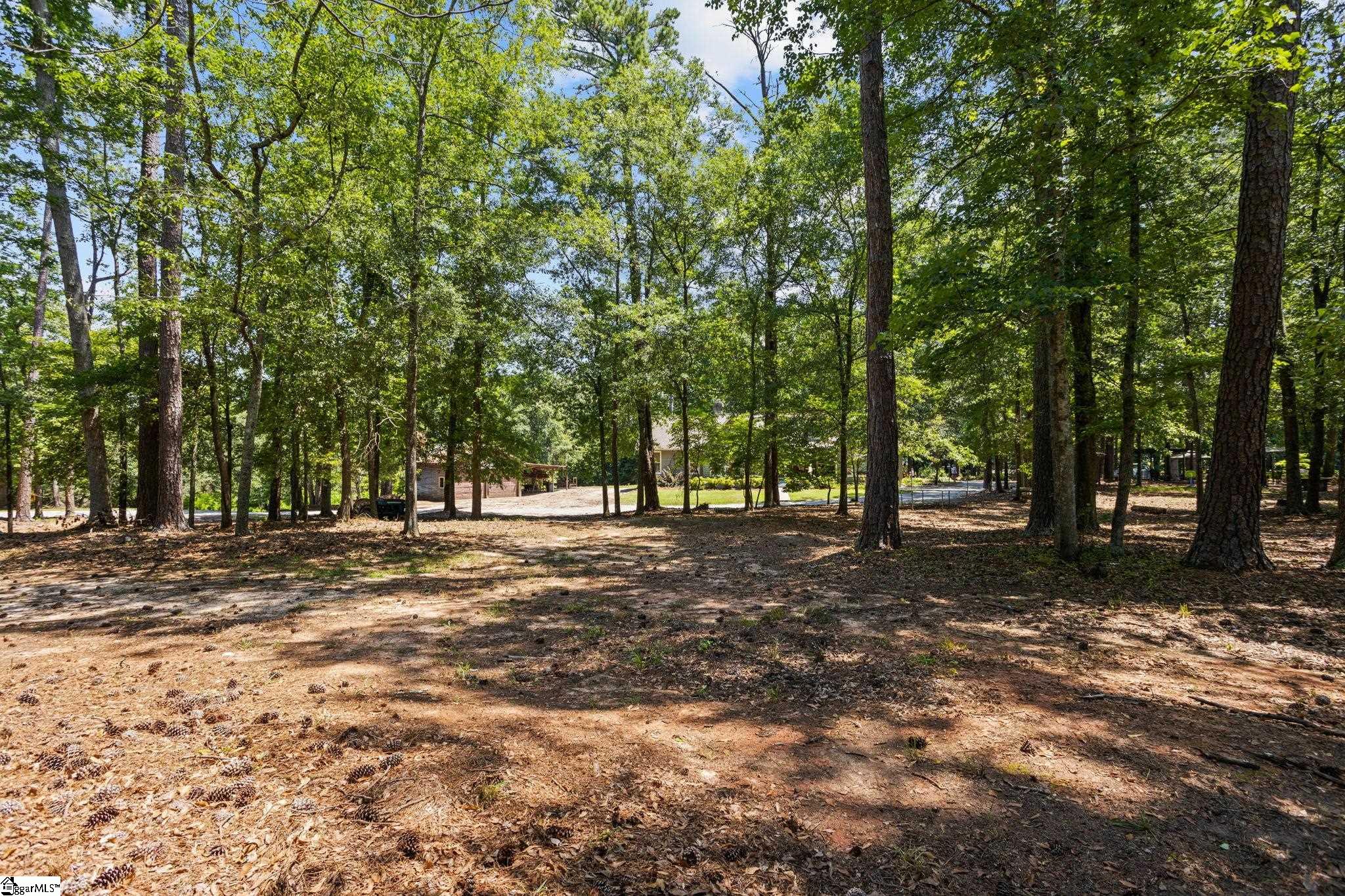 229 Armstrong, Honea Path, South Carolina image 35