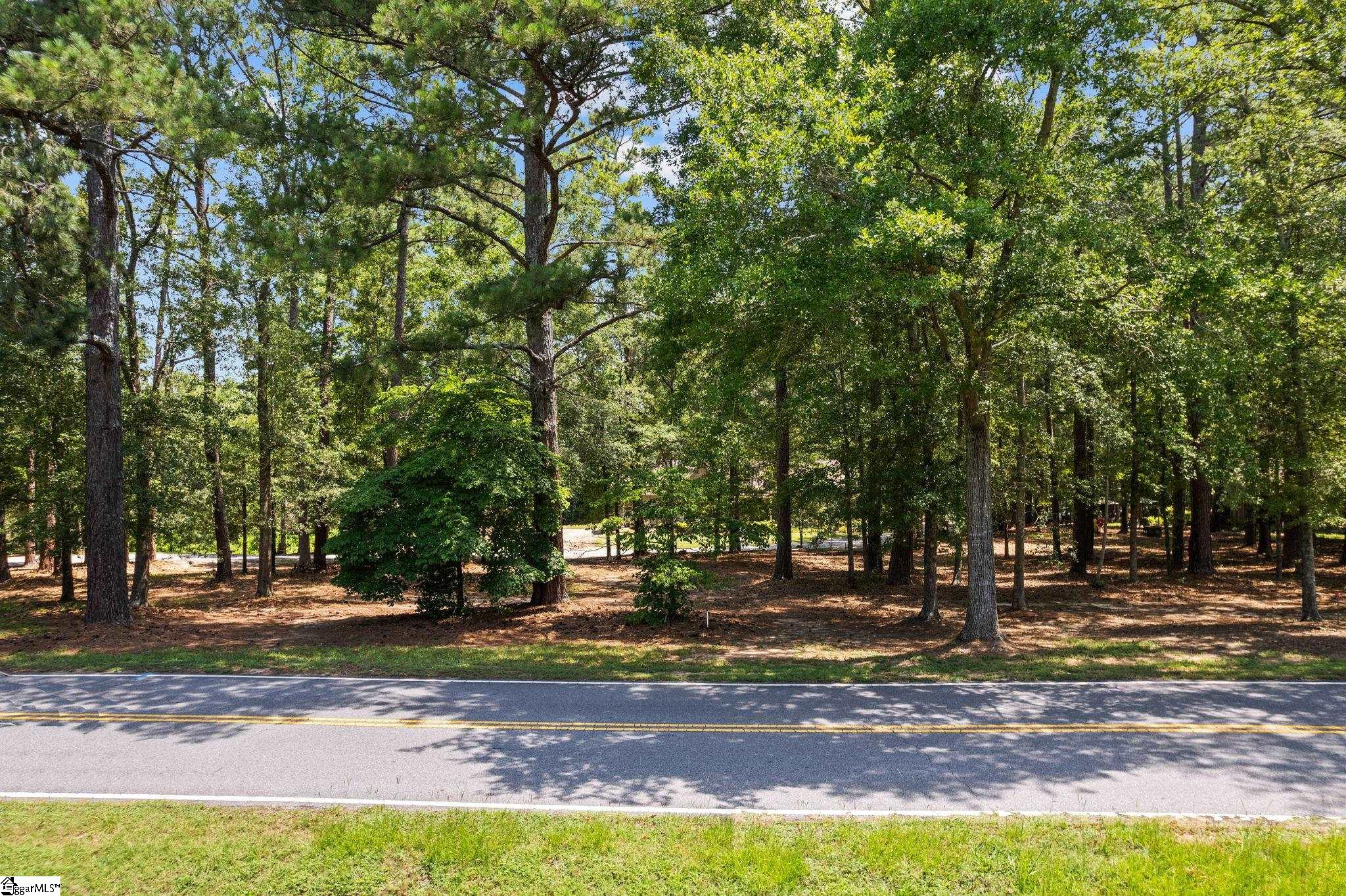 229 Armstrong, Honea Path, South Carolina image 36