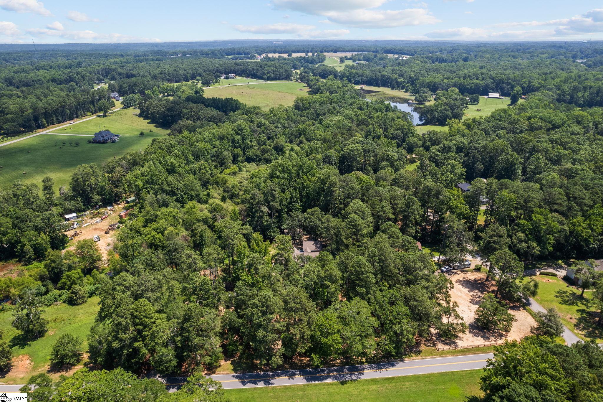 229 Armstrong, Honea Path, South Carolina image 43