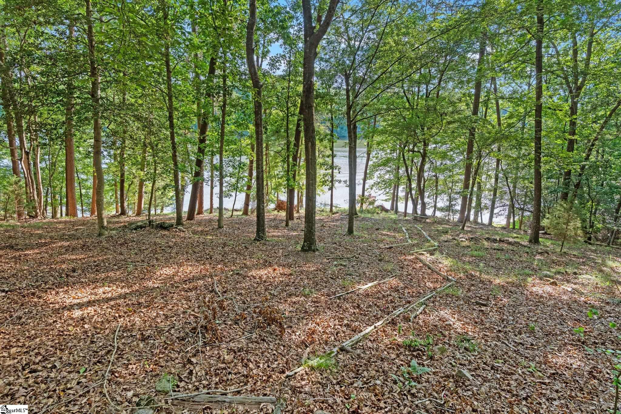 1215 Buck Creek, Chesnee, South Carolina image 16