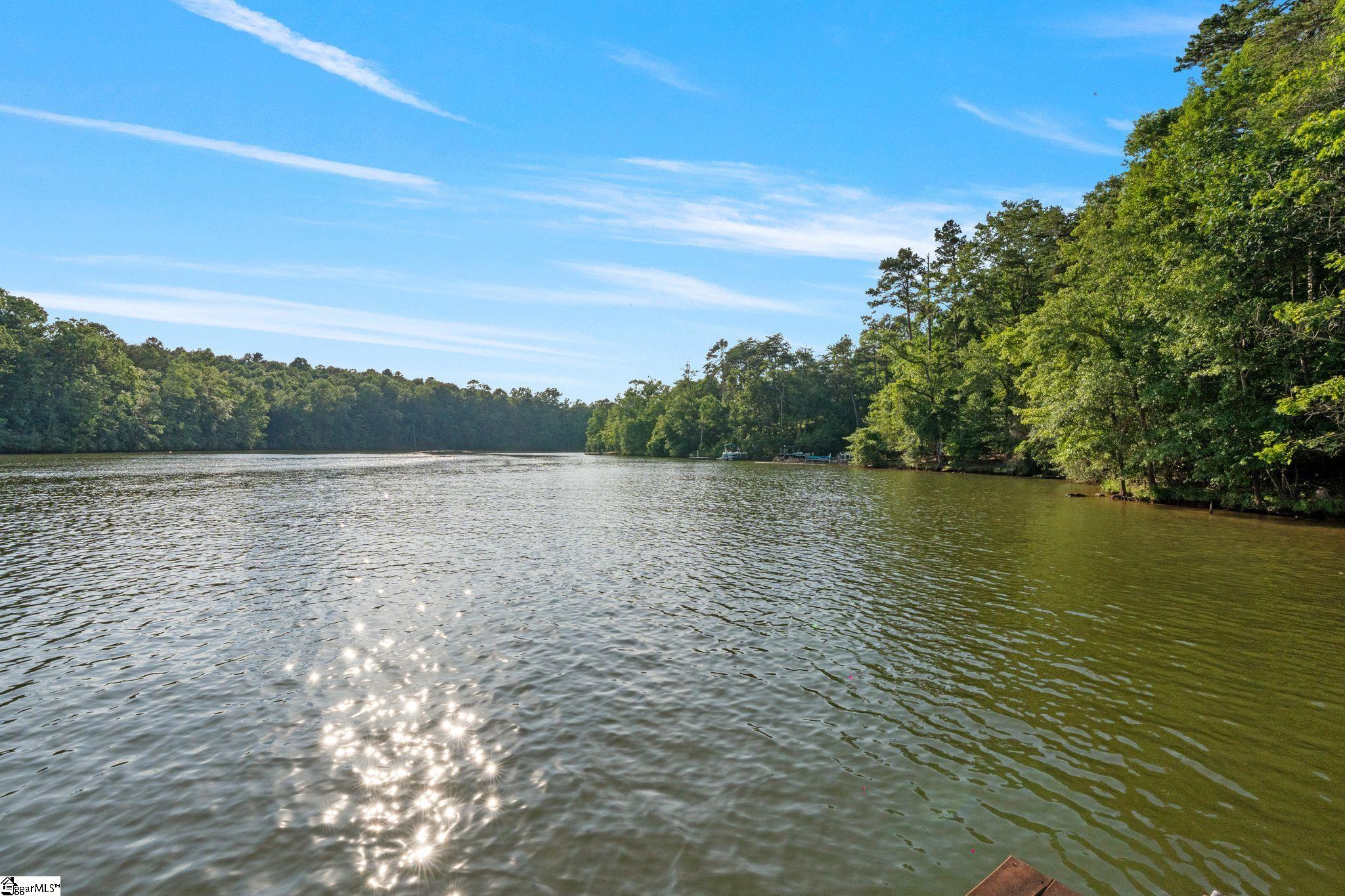 1215 Buck Creek, Chesnee, South Carolina image 3