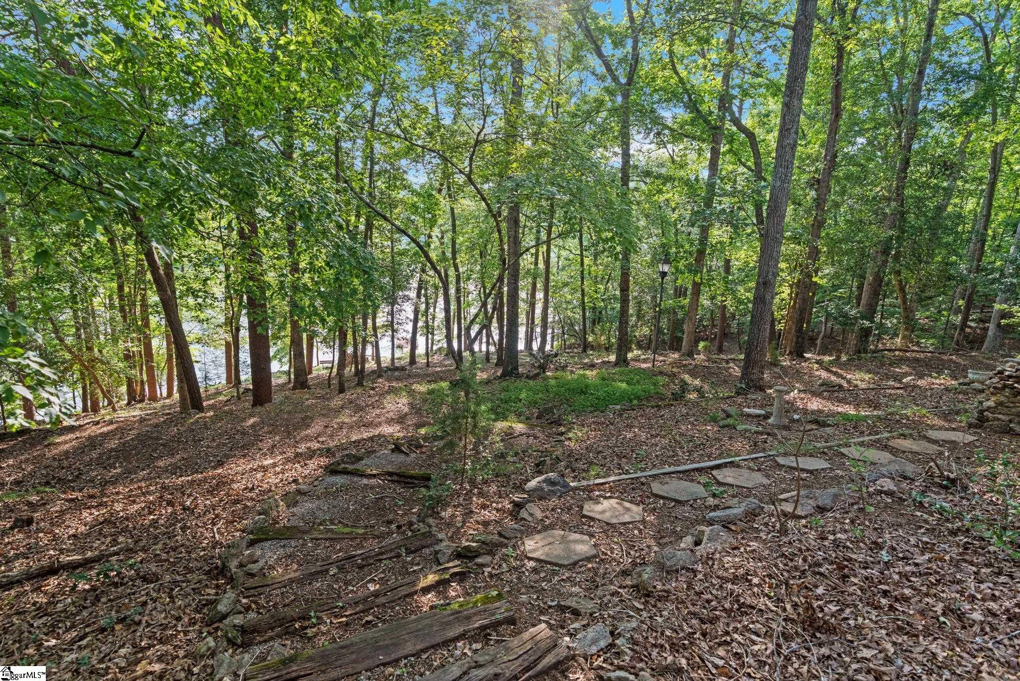1215 Buck Creek, Chesnee, South Carolina image 34