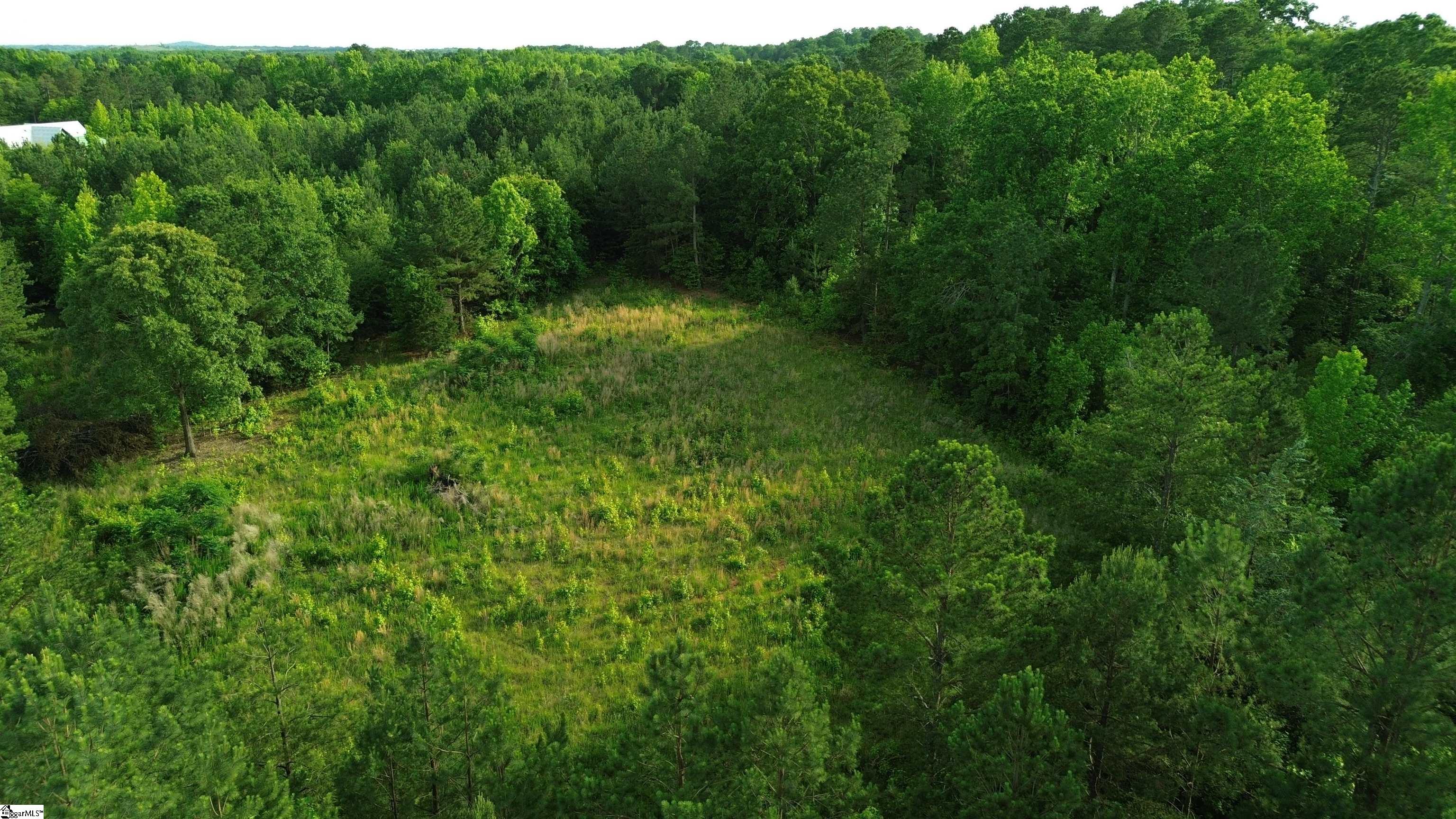 421 Mordeci Mountain, Gray Court, South Carolina image 2
