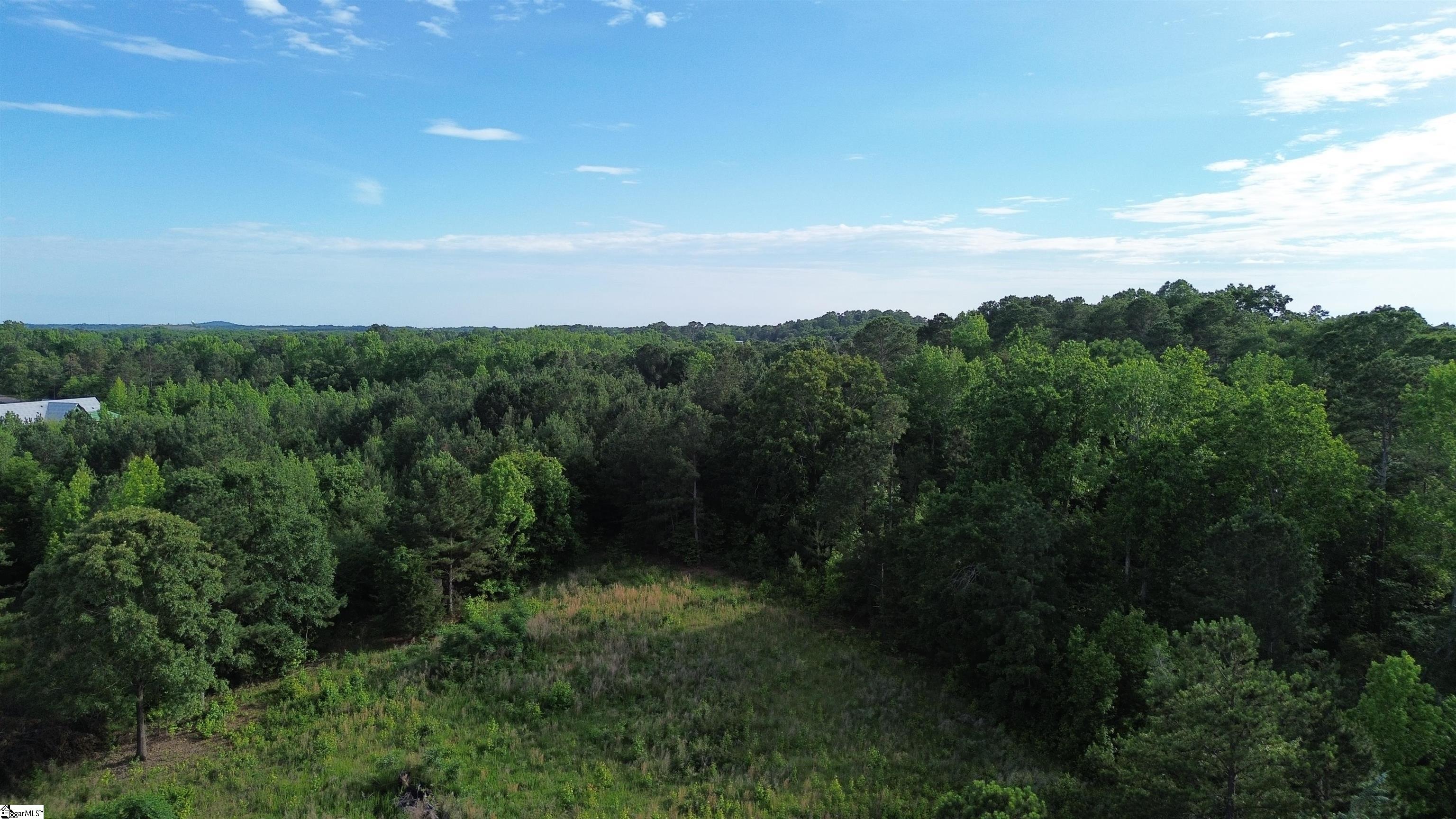 421 Mordeci Mountain, Gray Court, South Carolina image 3