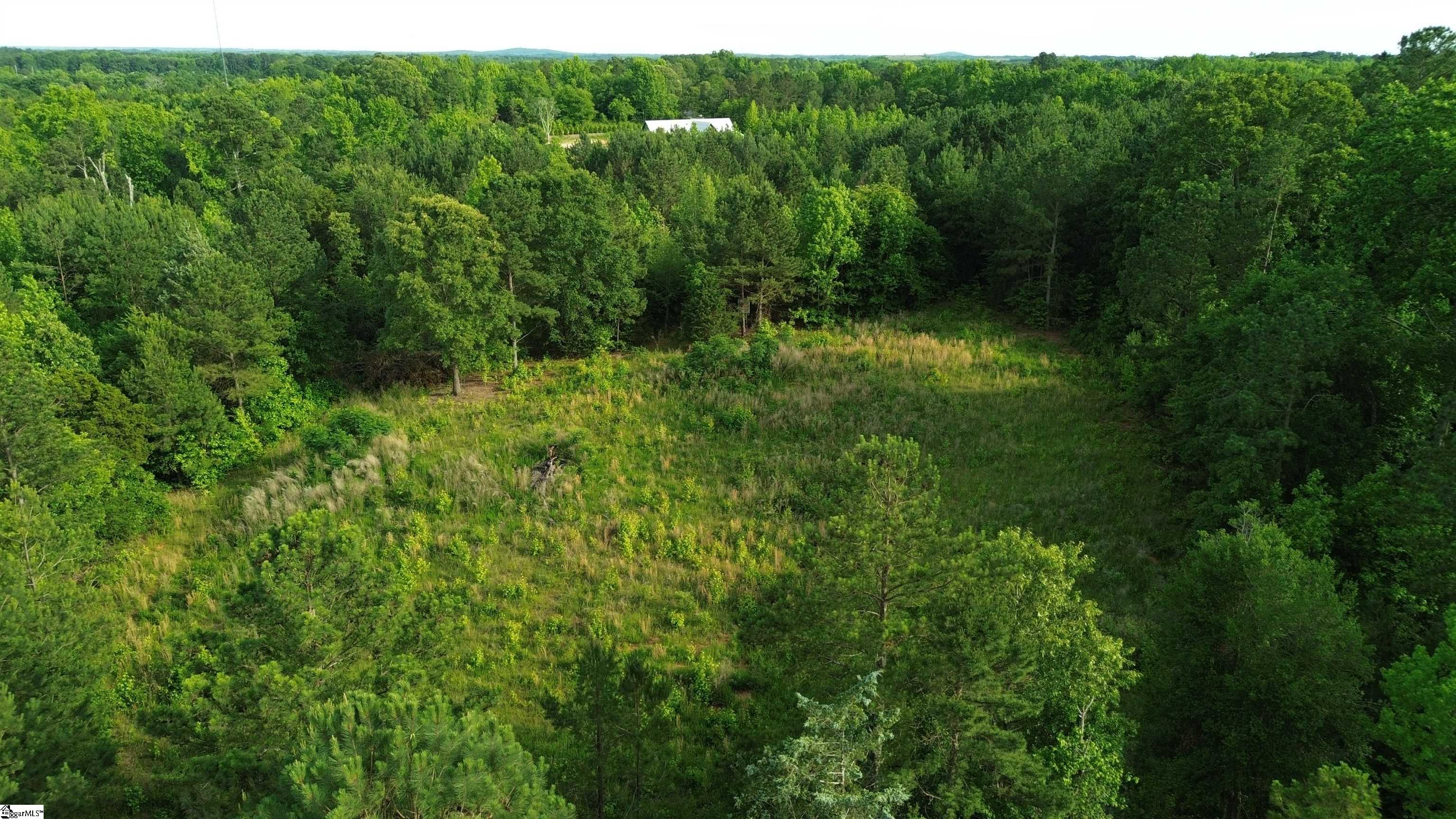 421 Mordeci Mountain, Gray Court, South Carolina image 4