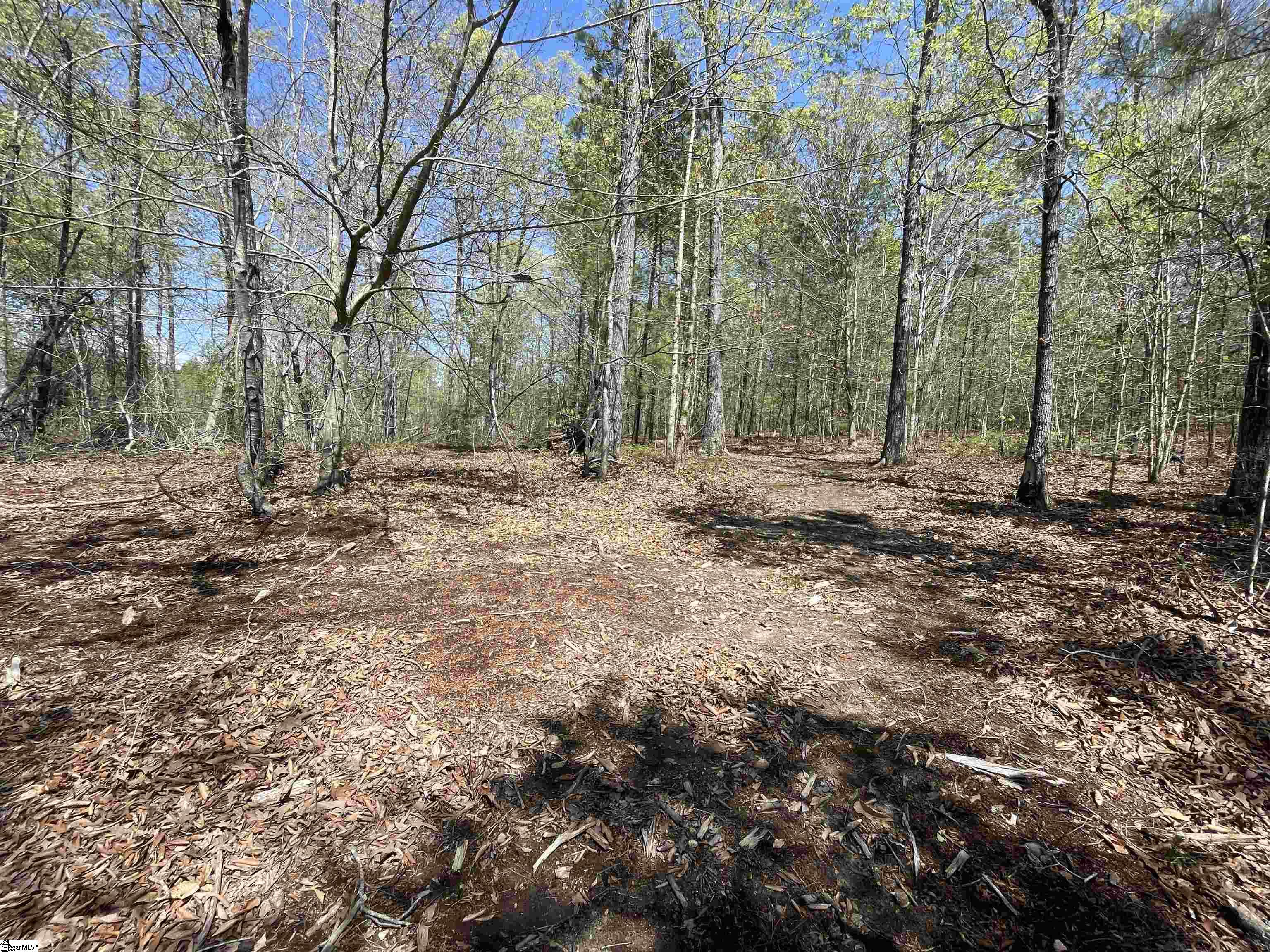 875 Love And Care, Six Mile, South Carolina image 31