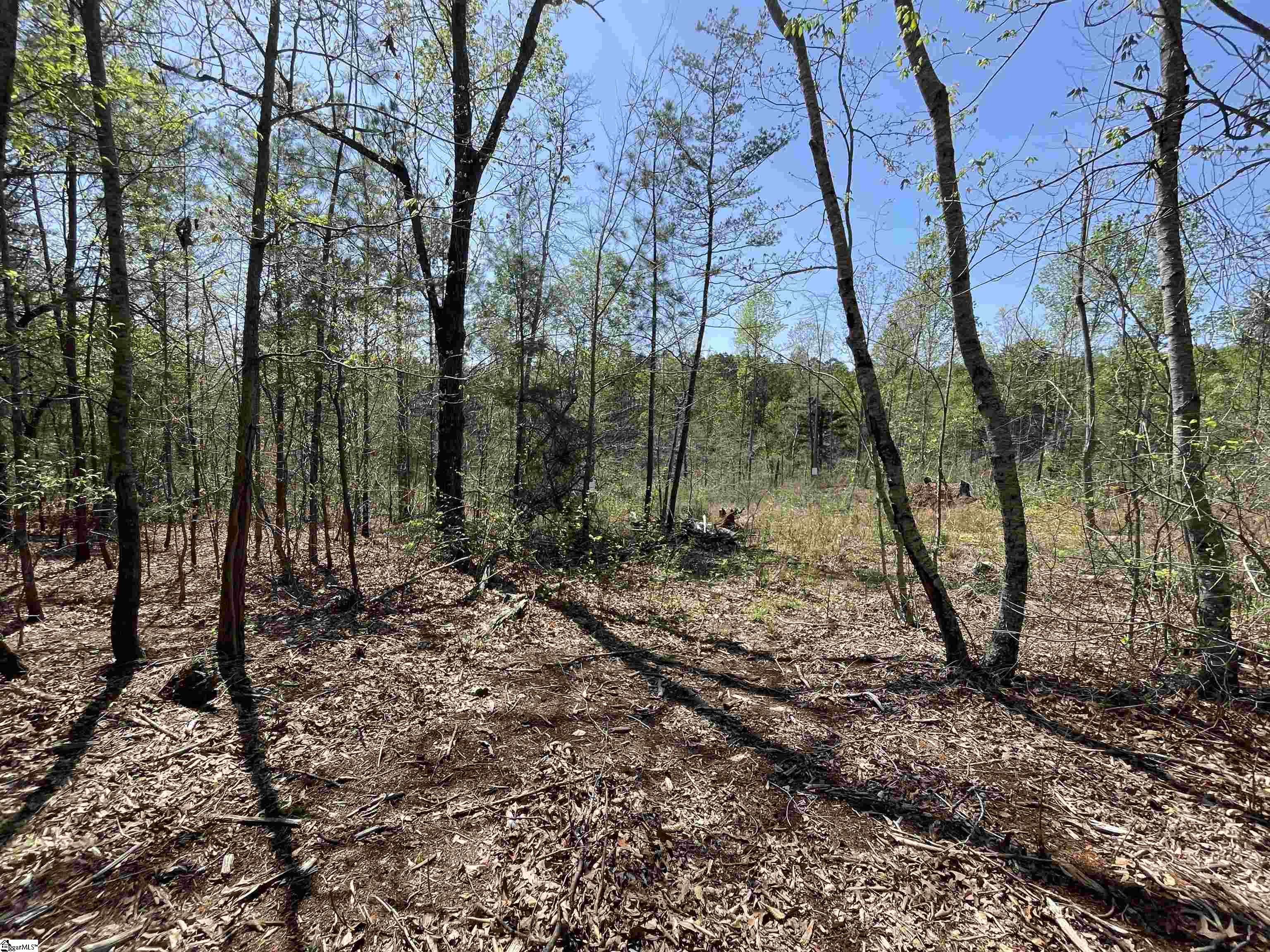 875 Love And Care, Six Mile, South Carolina image 32