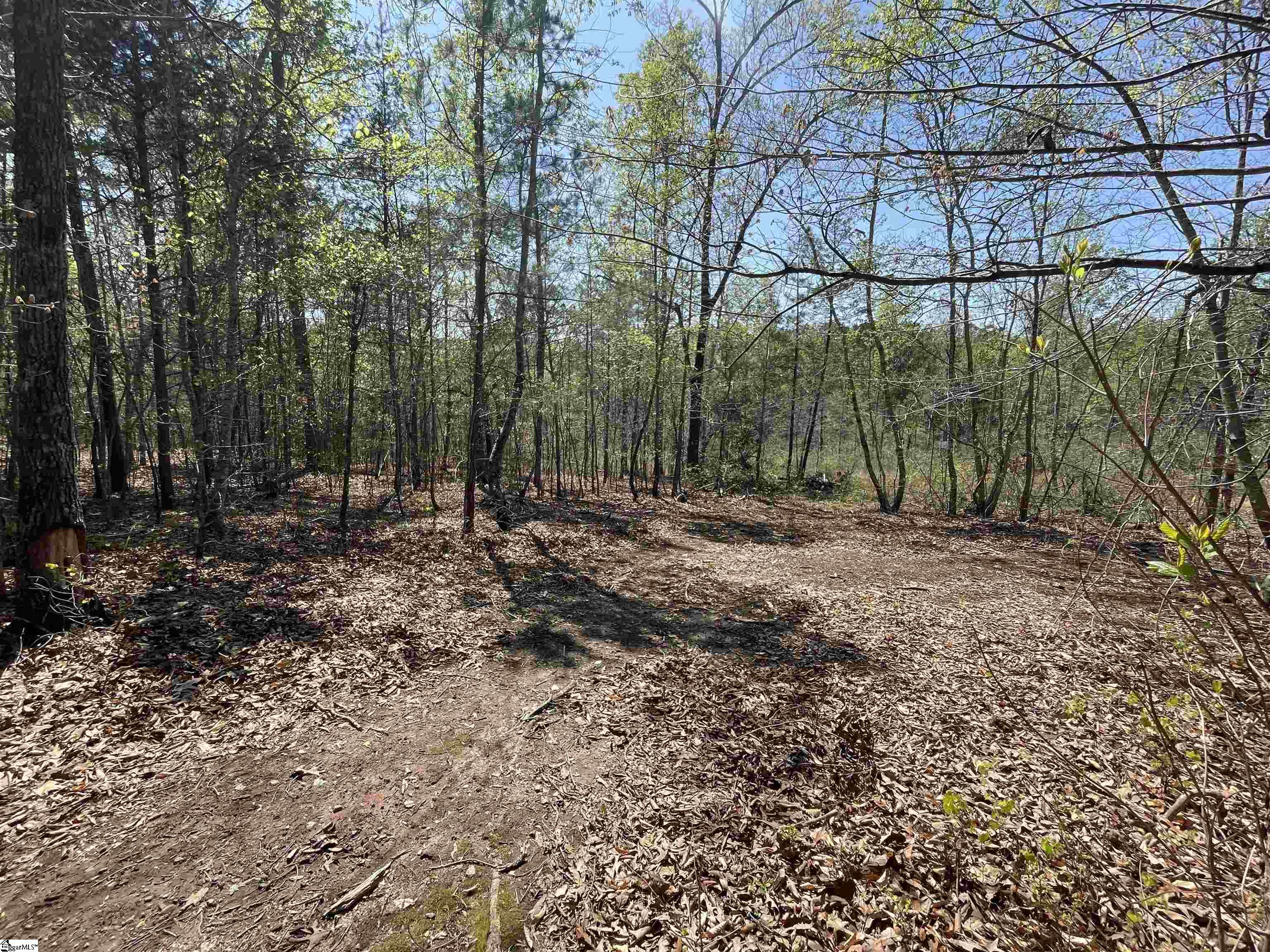 875 Love And Care, Six Mile, South Carolina image 33