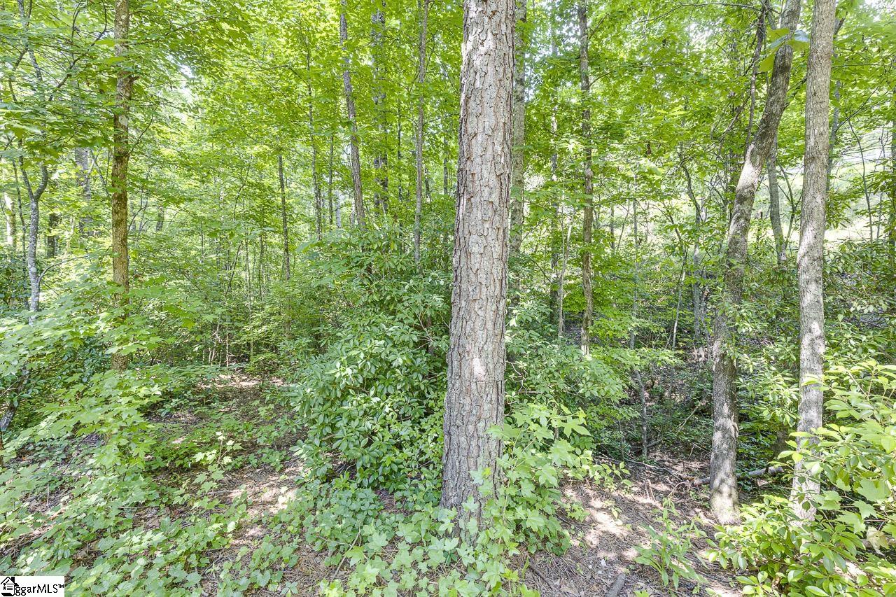 140 Hiawatha, Pickens, South Carolina image 36