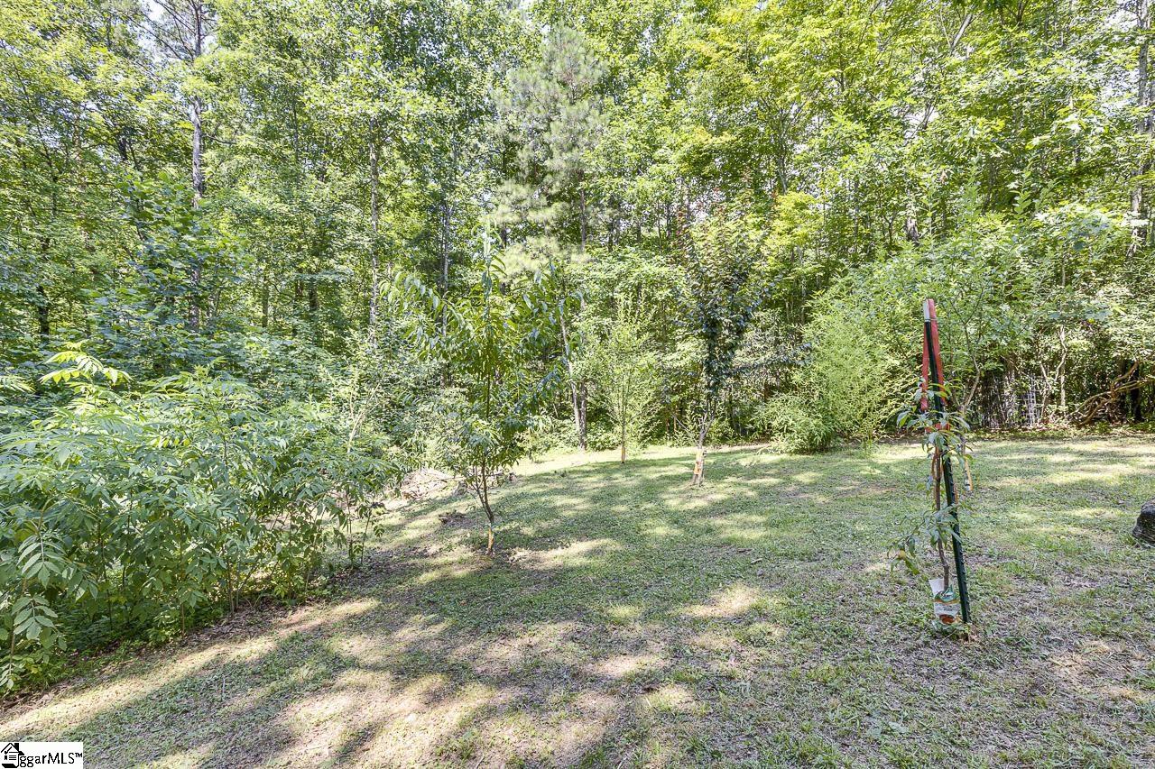 140 Hiawatha, Pickens, South Carolina image 37