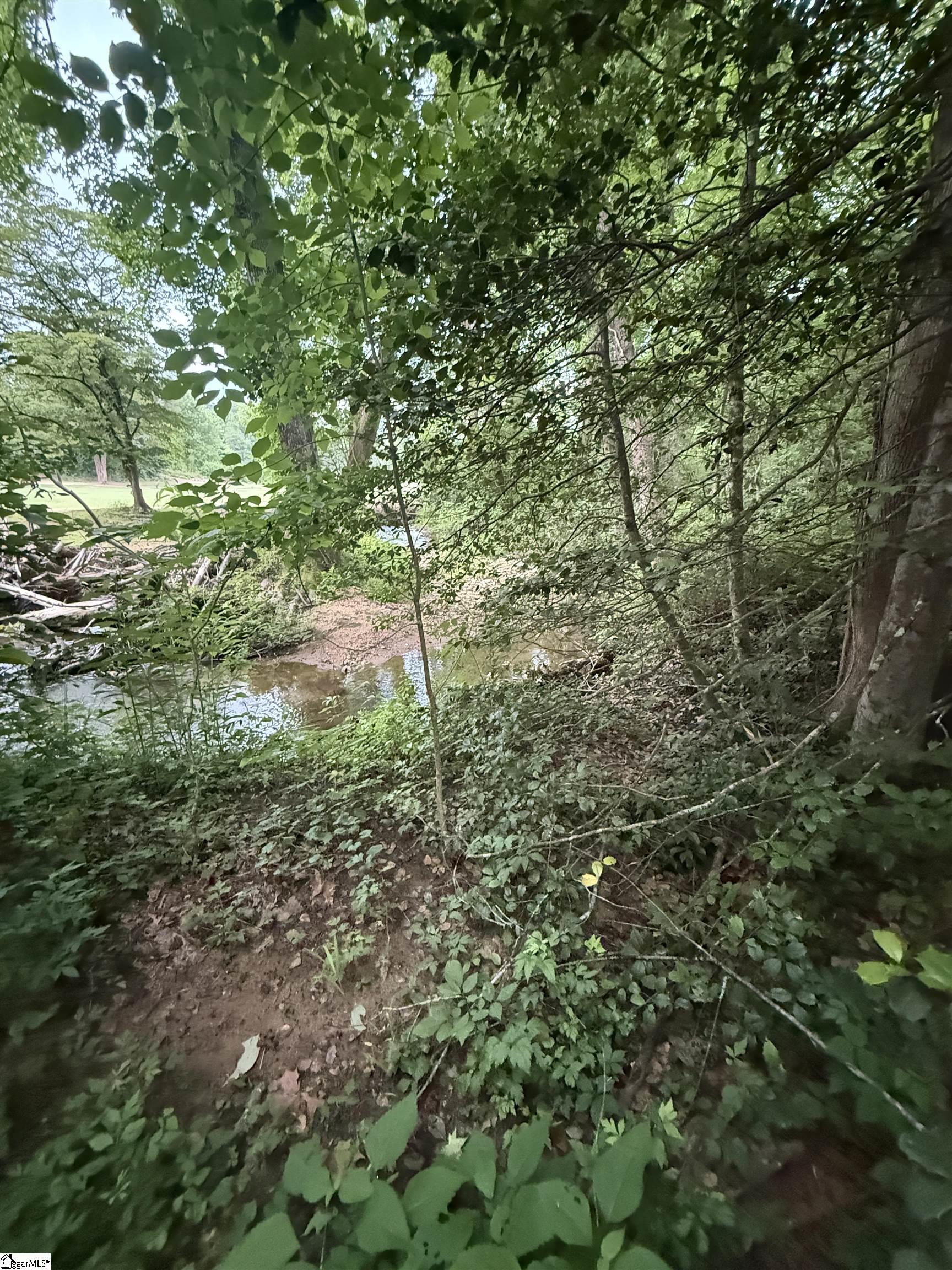 128 Willys Creek, Pickens, South Carolina image 48