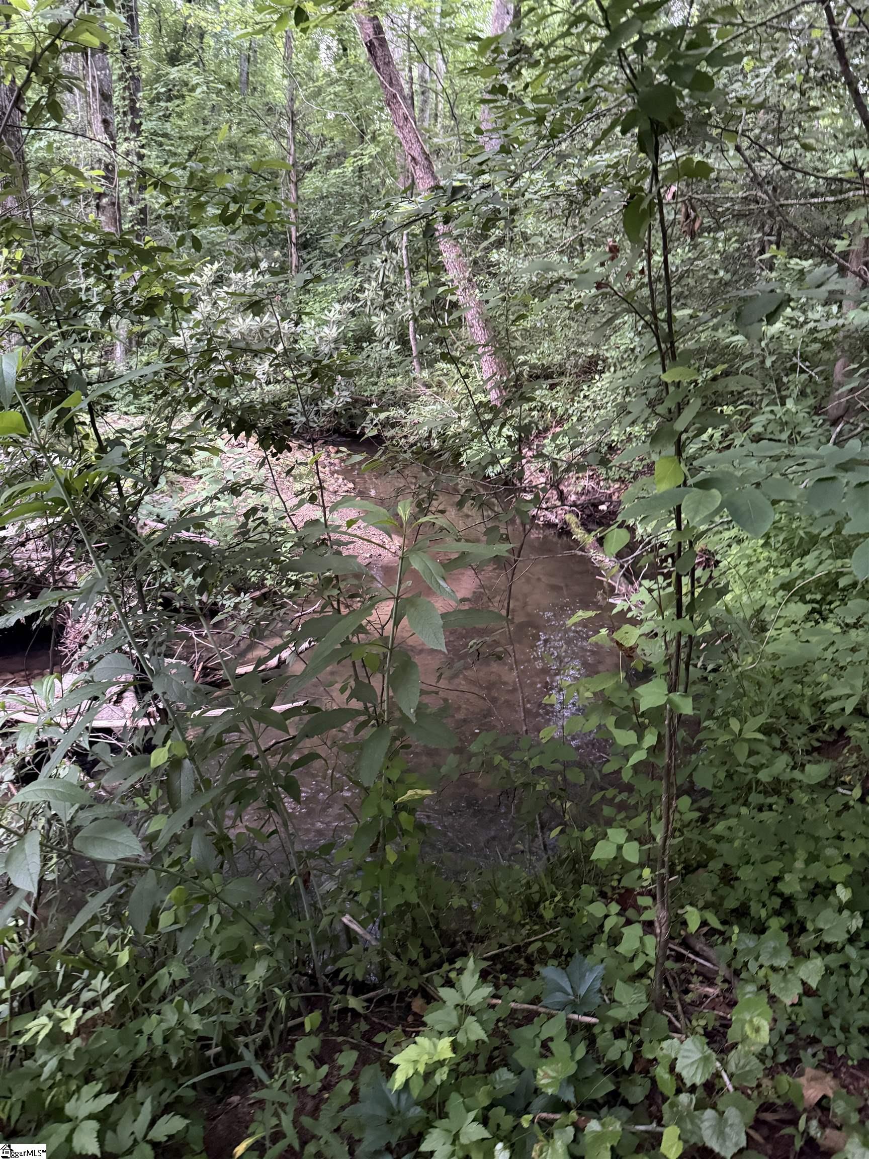 128 Willys Creek, Pickens, South Carolina image 50