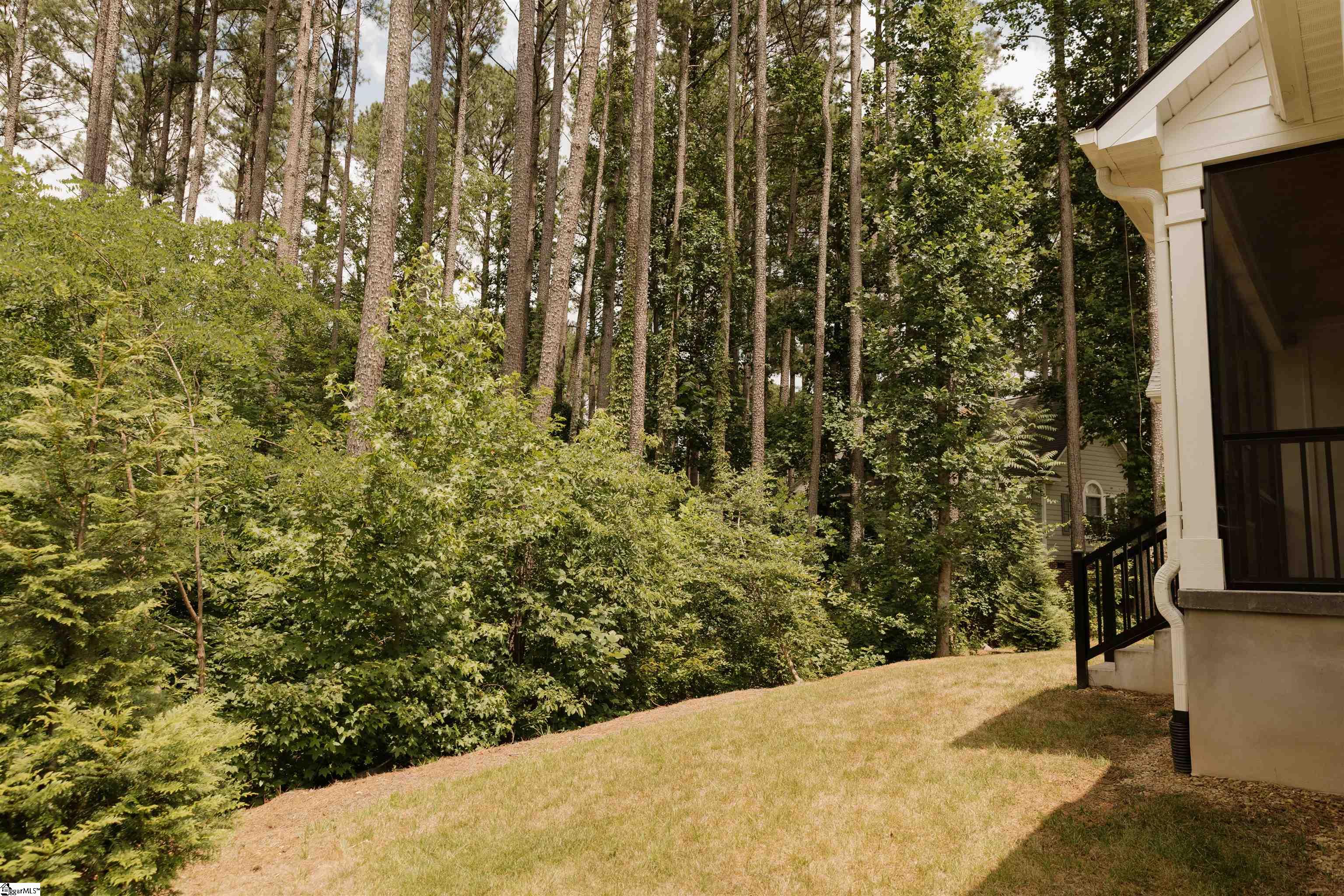 305 Meadow Tree, Travelers Rest, South Carolina image 46