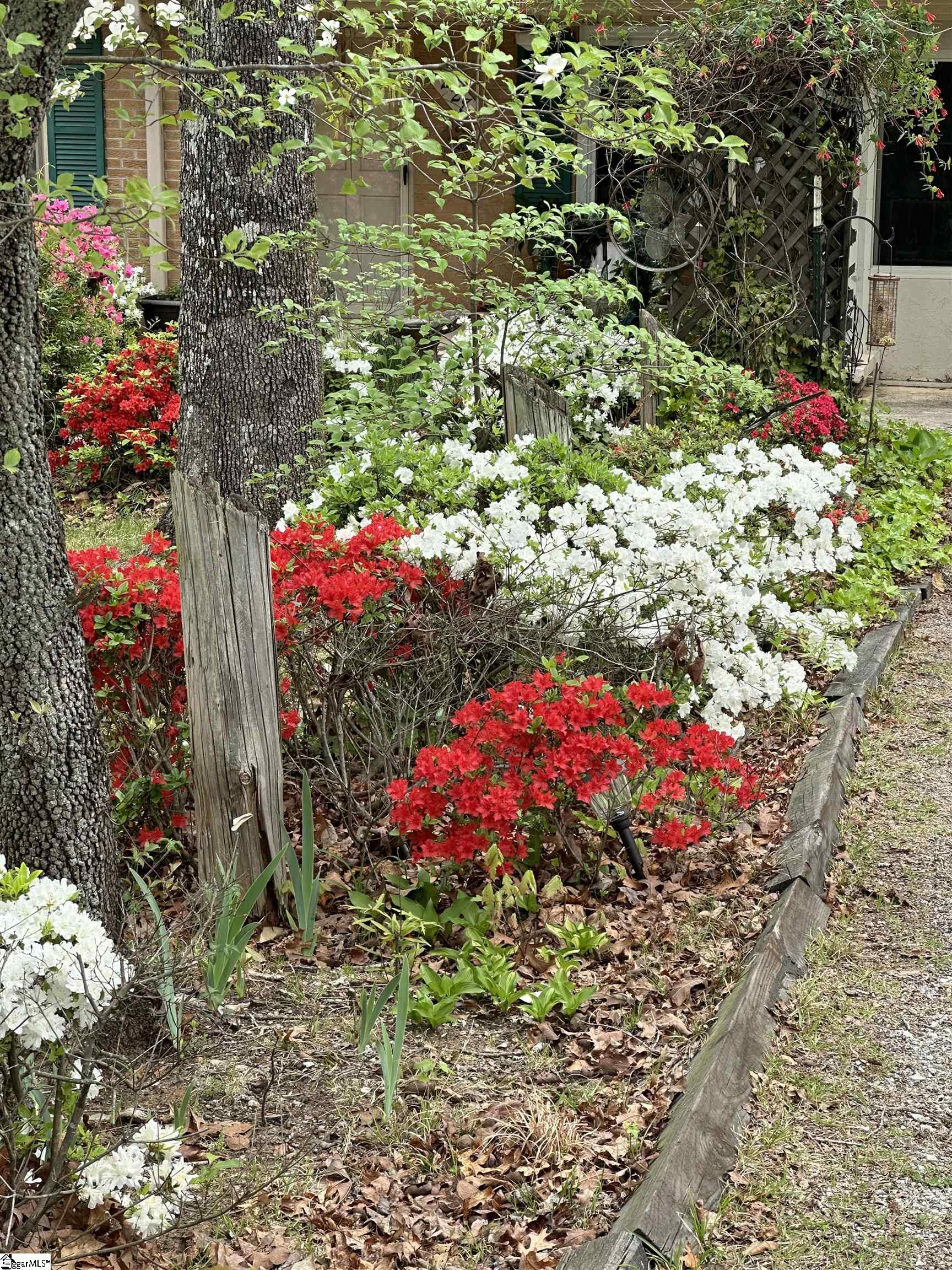 228 Styles, Taylors, South Carolina image 30