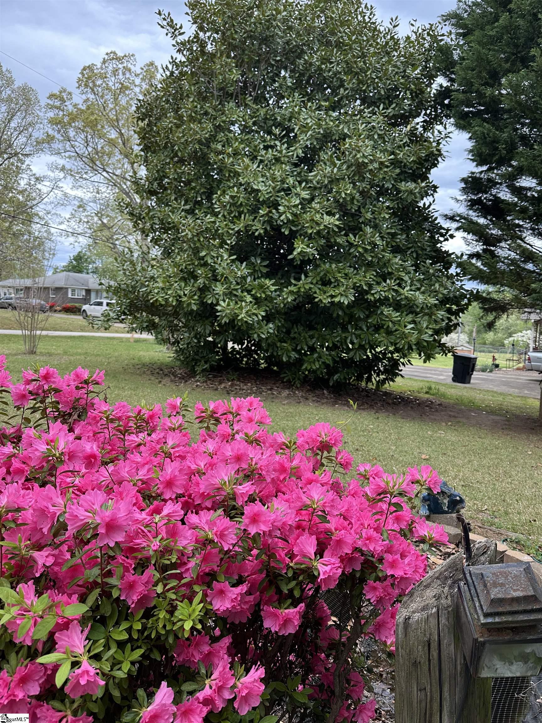 228 Styles, Taylors, South Carolina image 32
