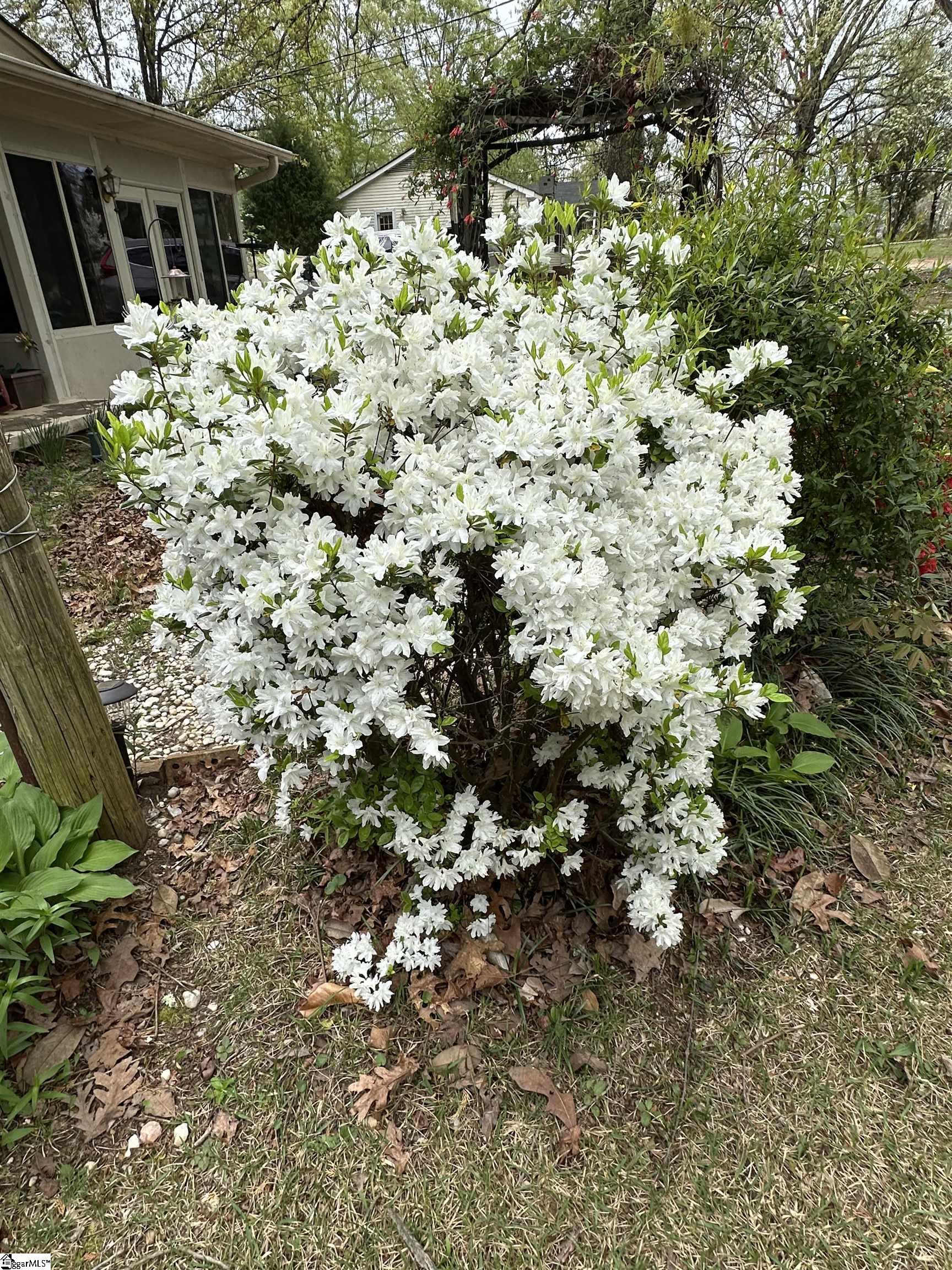228 Styles, Taylors, South Carolina image 34