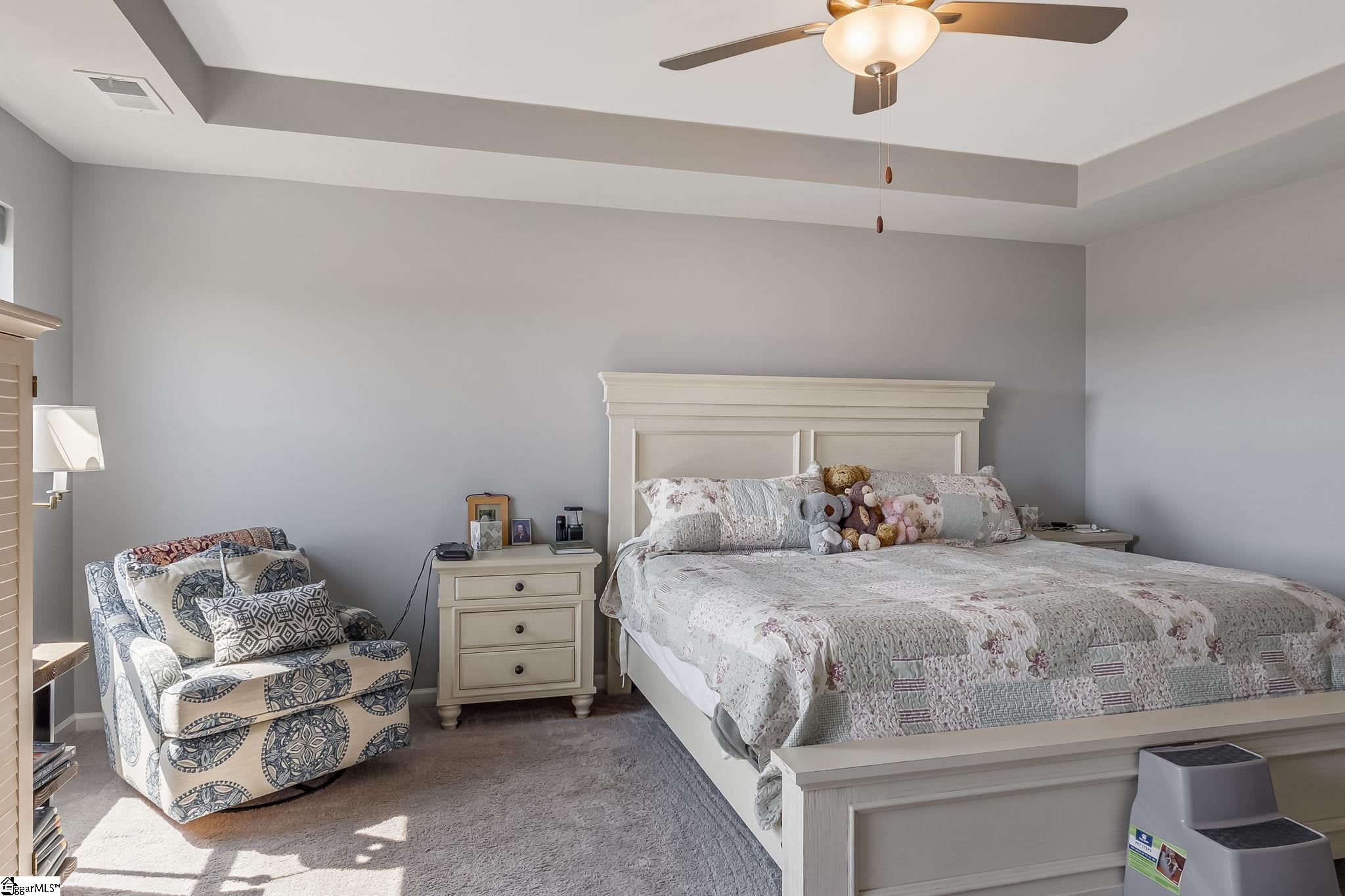 469 Anna Gray, Easley, South Carolina image 14