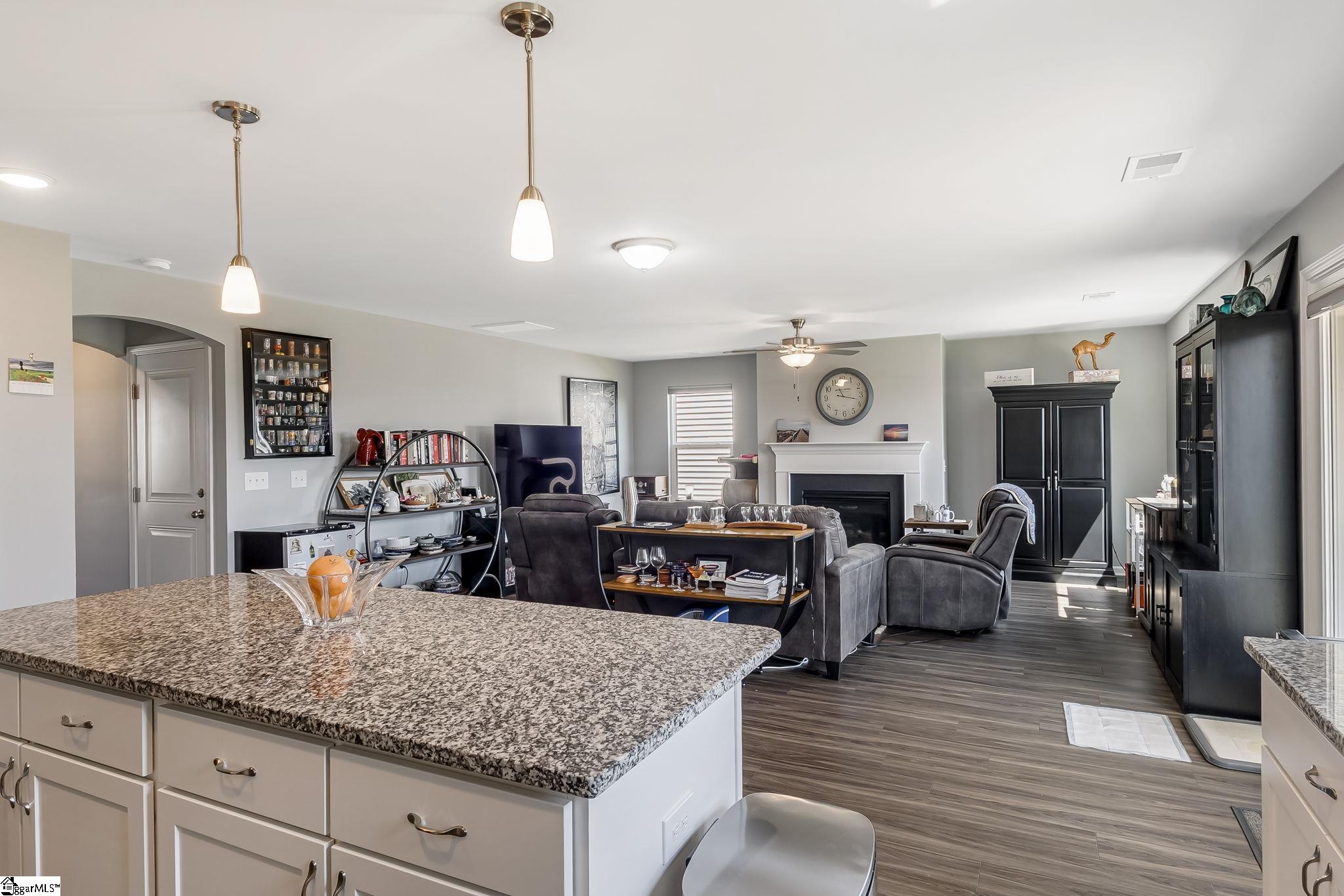 469 Anna Gray, Easley, South Carolina image 10