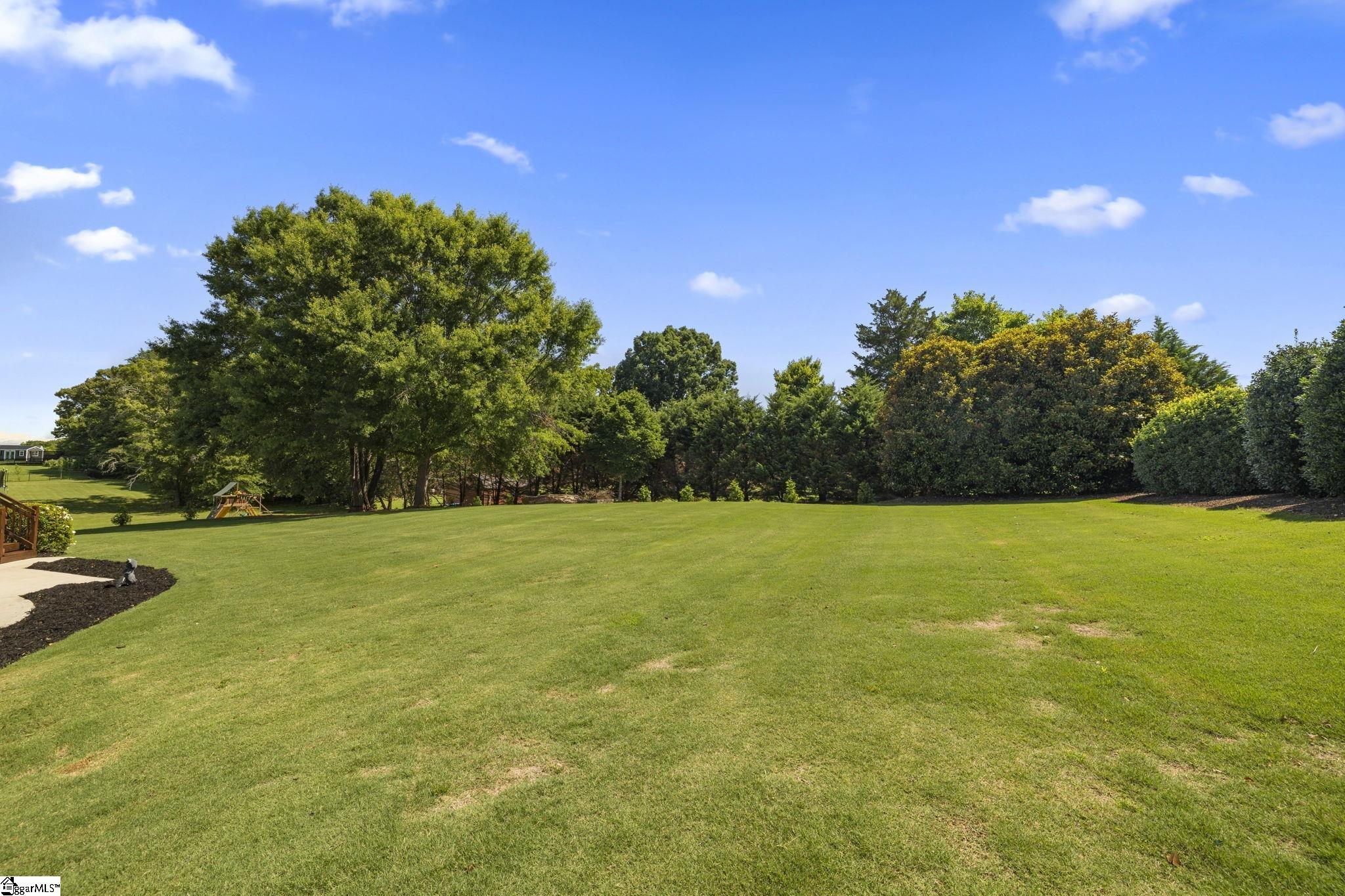 202 Princeton, Duncan, South Carolina image 44
