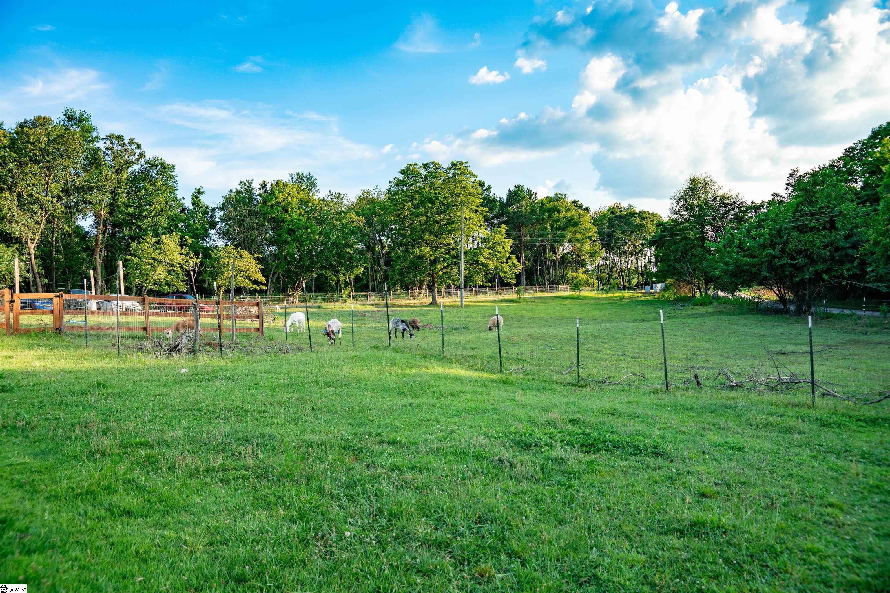 415 Ware, Chesnee, South Carolina image 3