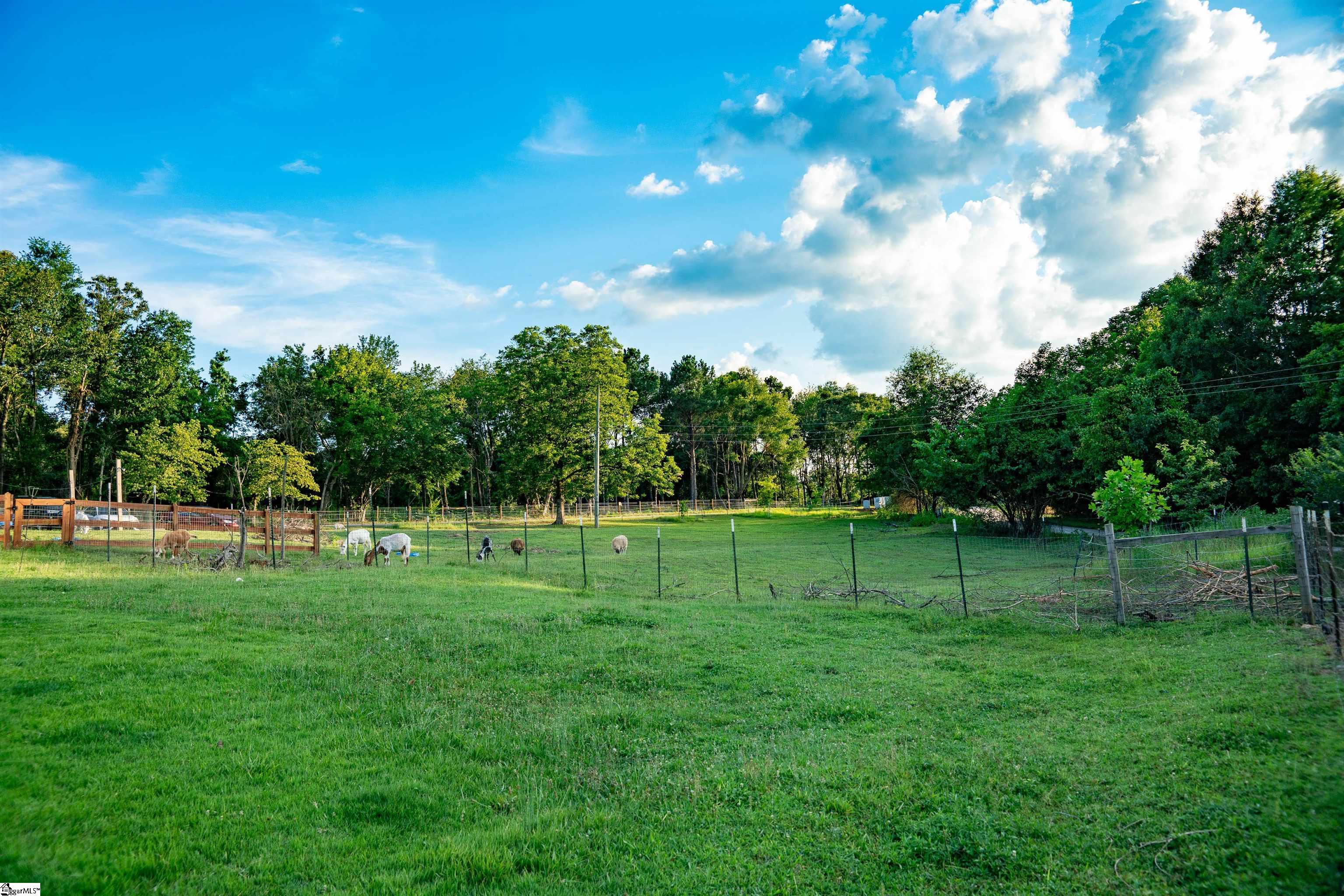 415 Ware, Chesnee, South Carolina image 4