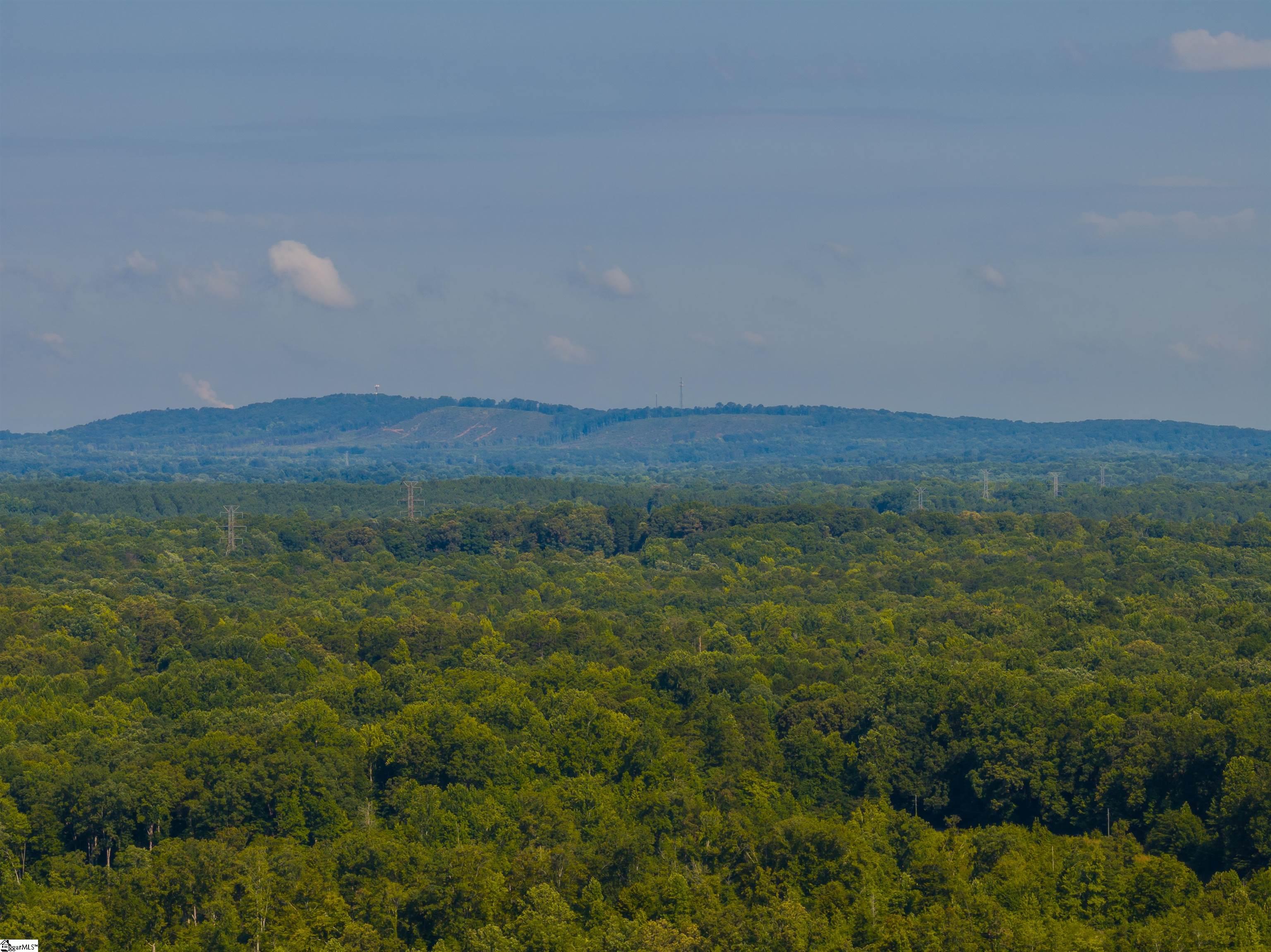 00 Forest View, Blacksburg, South Carolina image 5