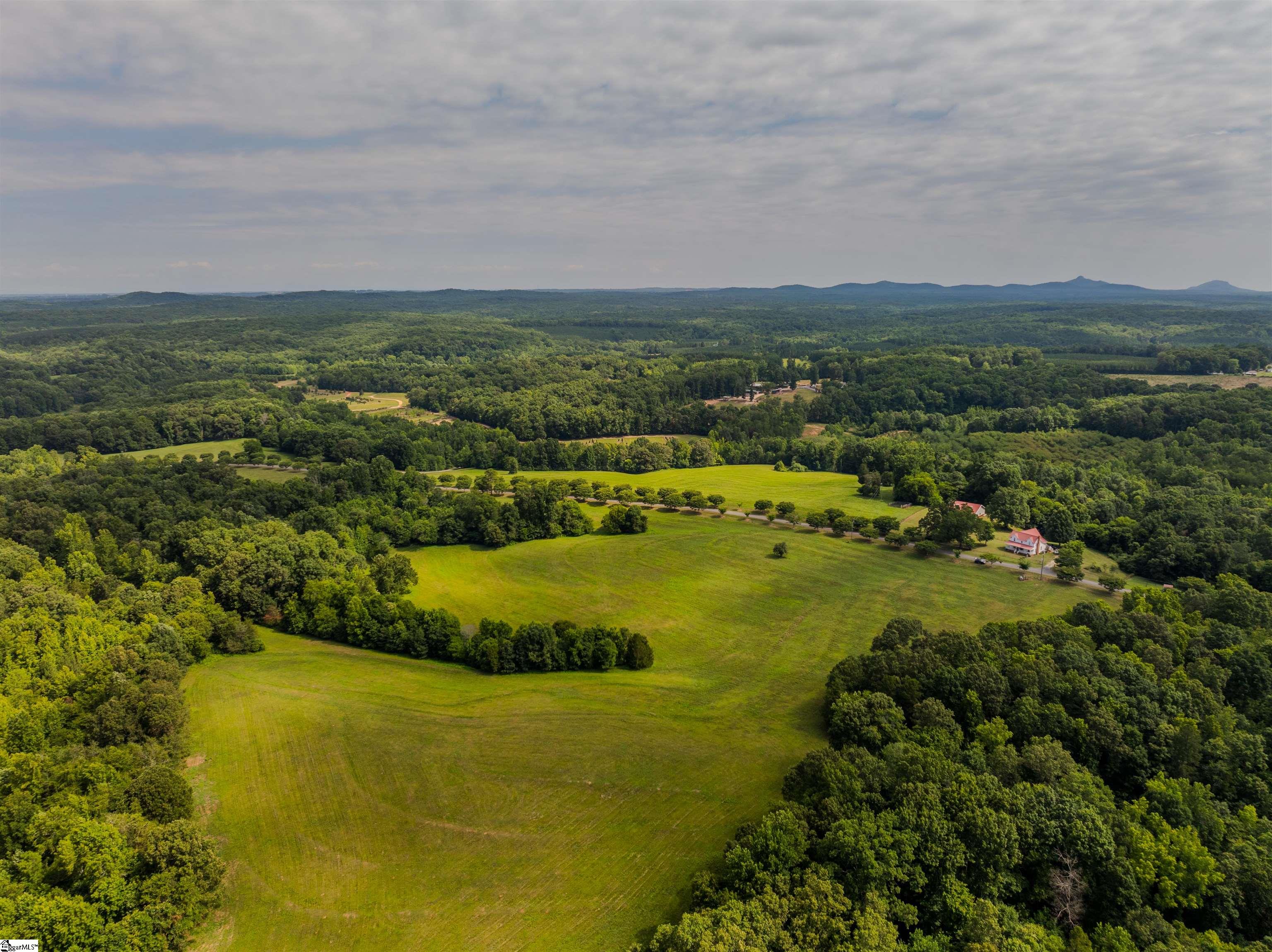 00 Forest View, Blacksburg, South Carolina image 6