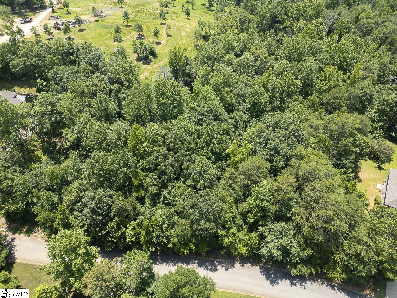 1208 Bradford Creek, Taylors, South Carolina image 12