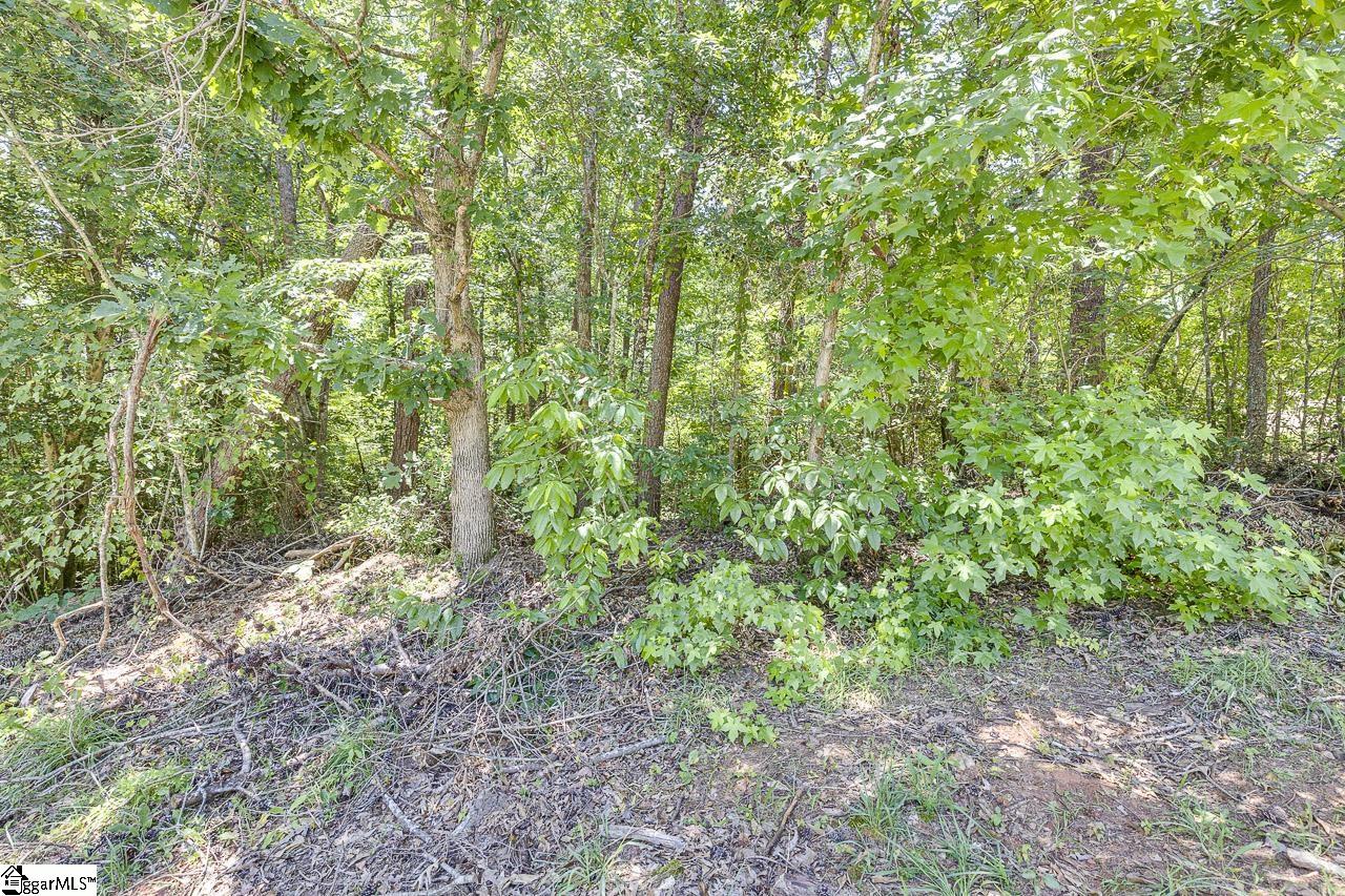 1208 Bradford Creek, Taylors, South Carolina image 5