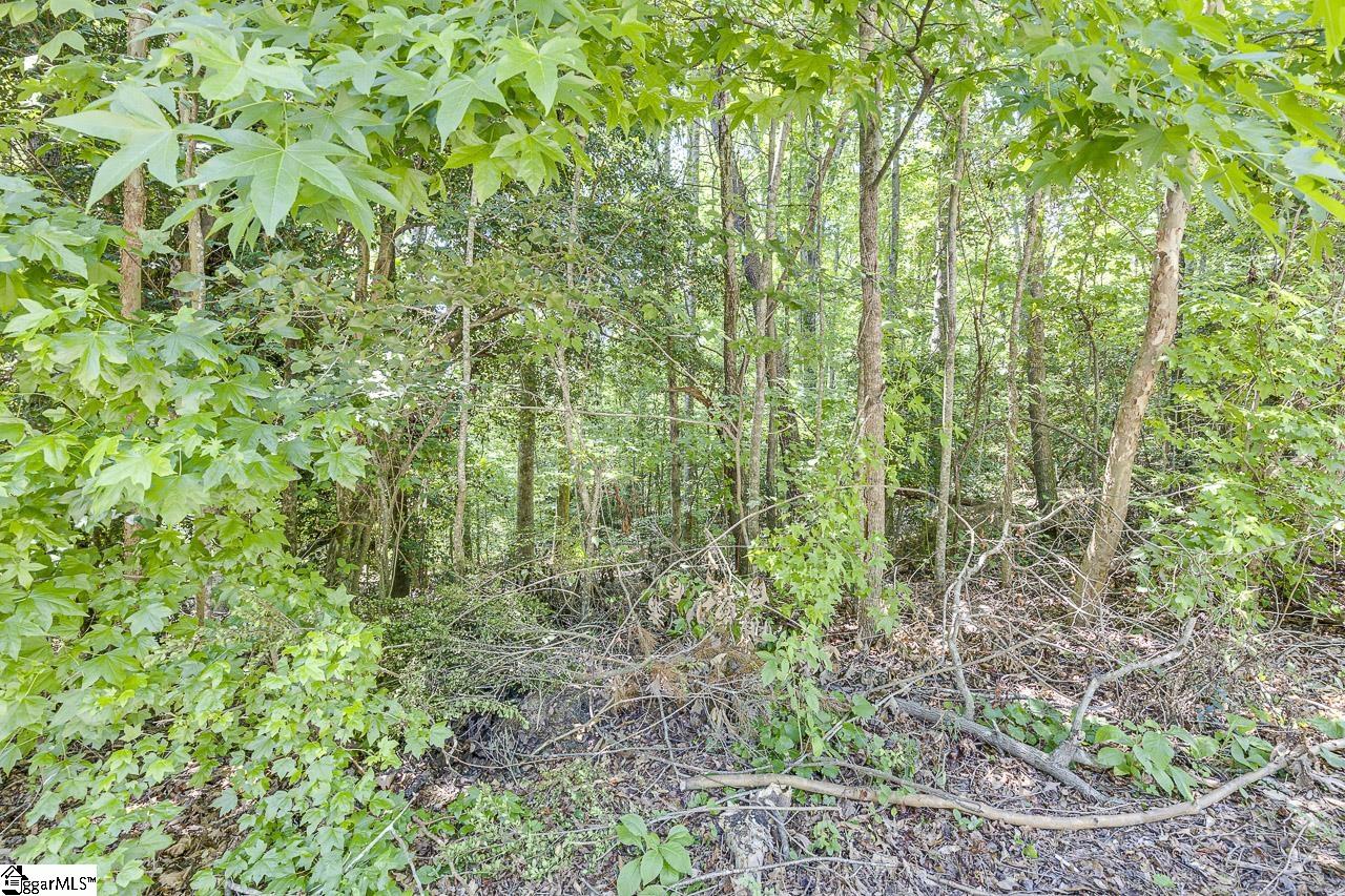 1208 Bradford Creek, Taylors, South Carolina image 6
