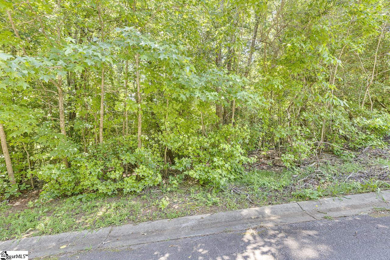 1208 Bradford Creek, Taylors, South Carolina image 9
