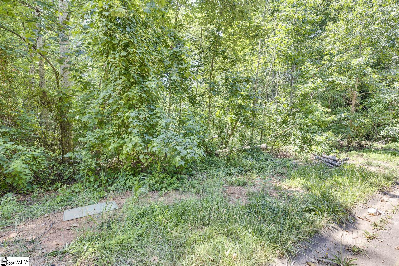 1208 Bradford Creek, Taylors, South Carolina image 10