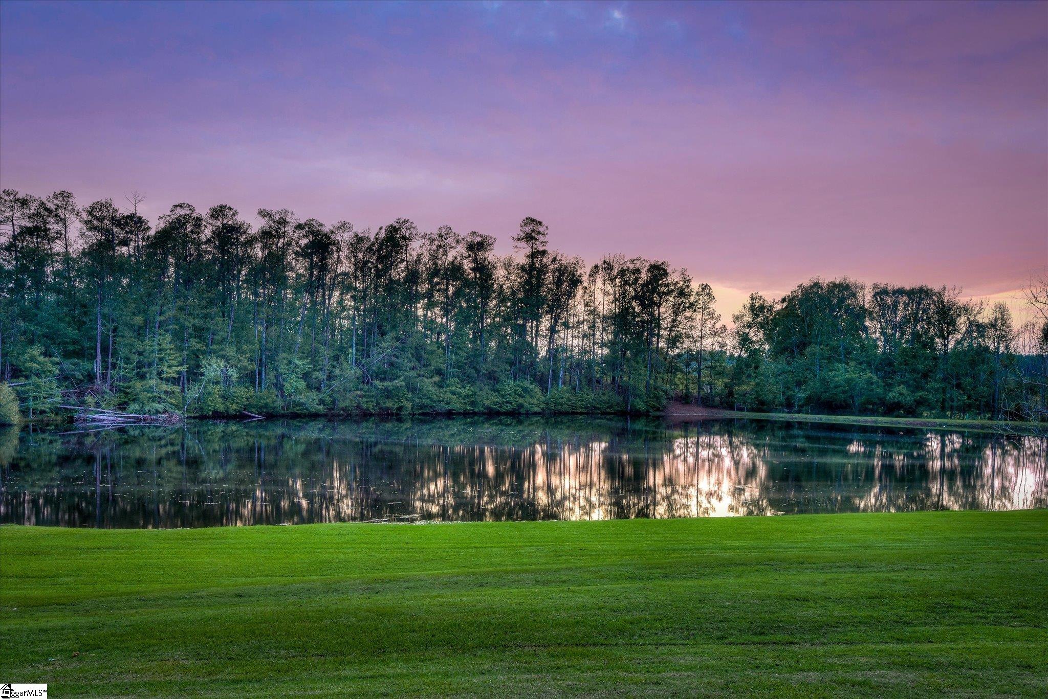 81 Two Mile, Edgefield, South Carolina image 3