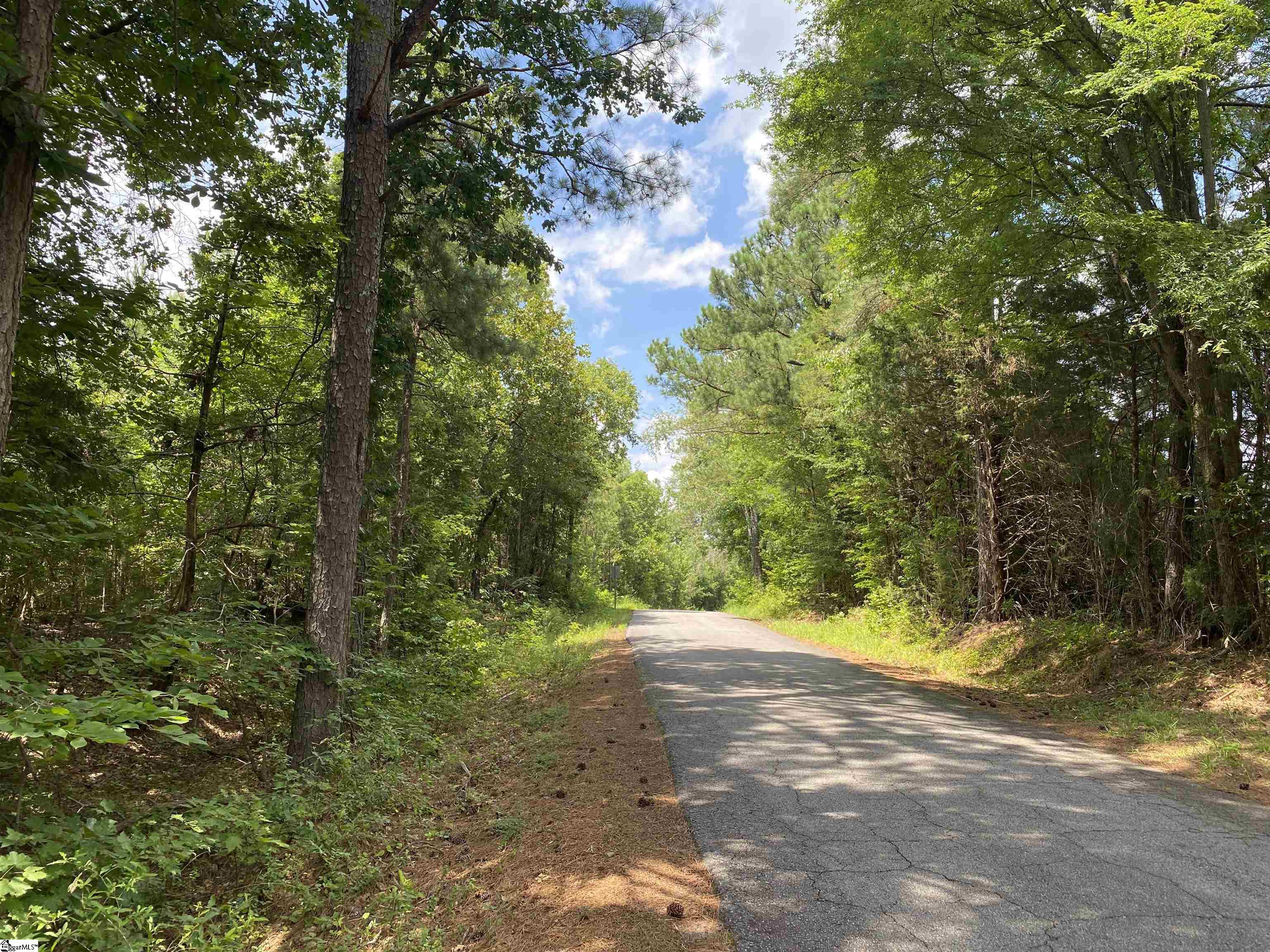 00 Indian Creek, Clinton, South Carolina image 2