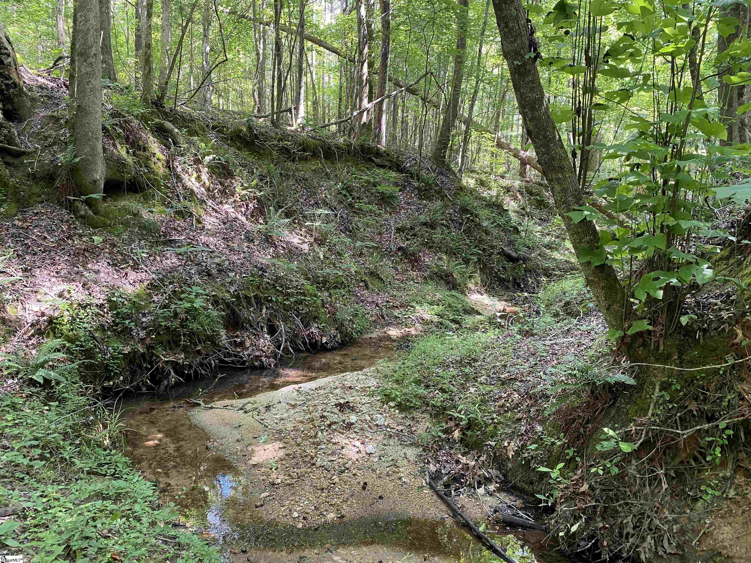 00 Indian Creek, Clinton, South Carolina image 11