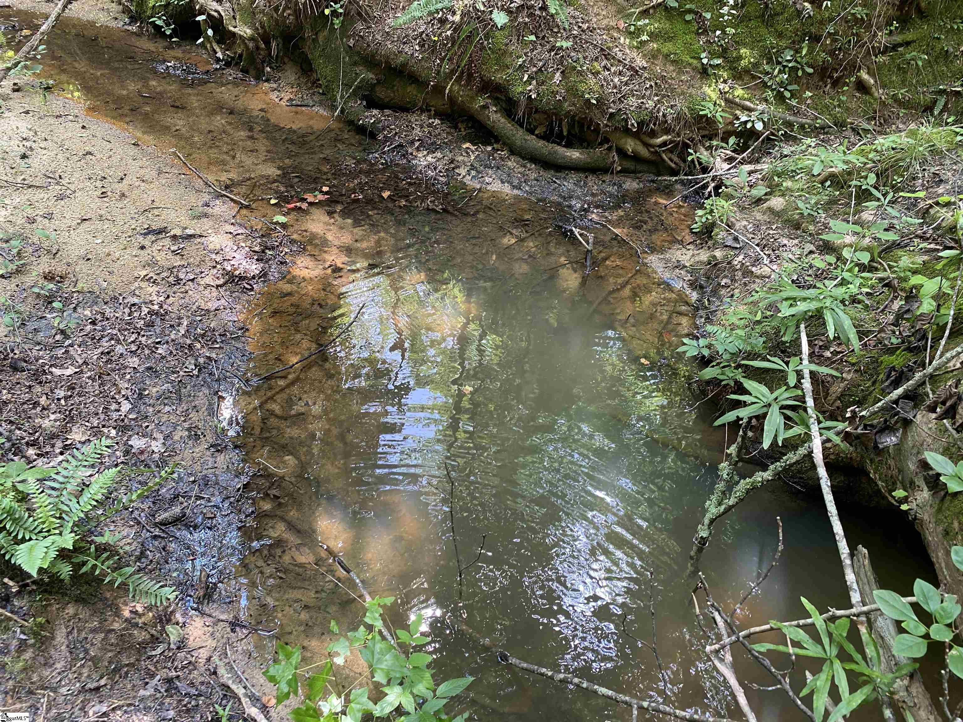 00 Indian Creek, Clinton, South Carolina image 12