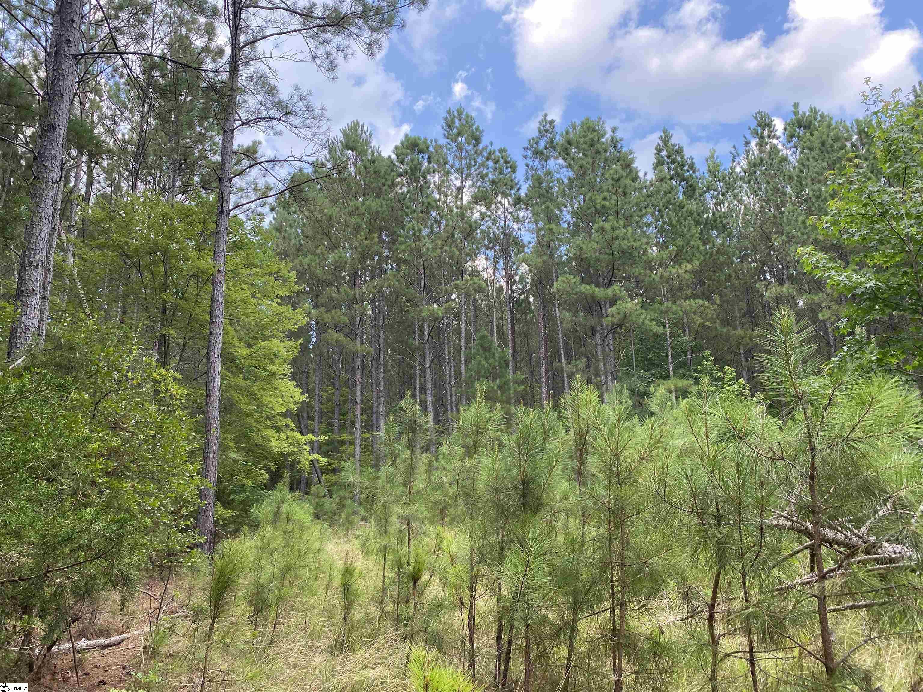 00 Indian Creek, Clinton, South Carolina image 13