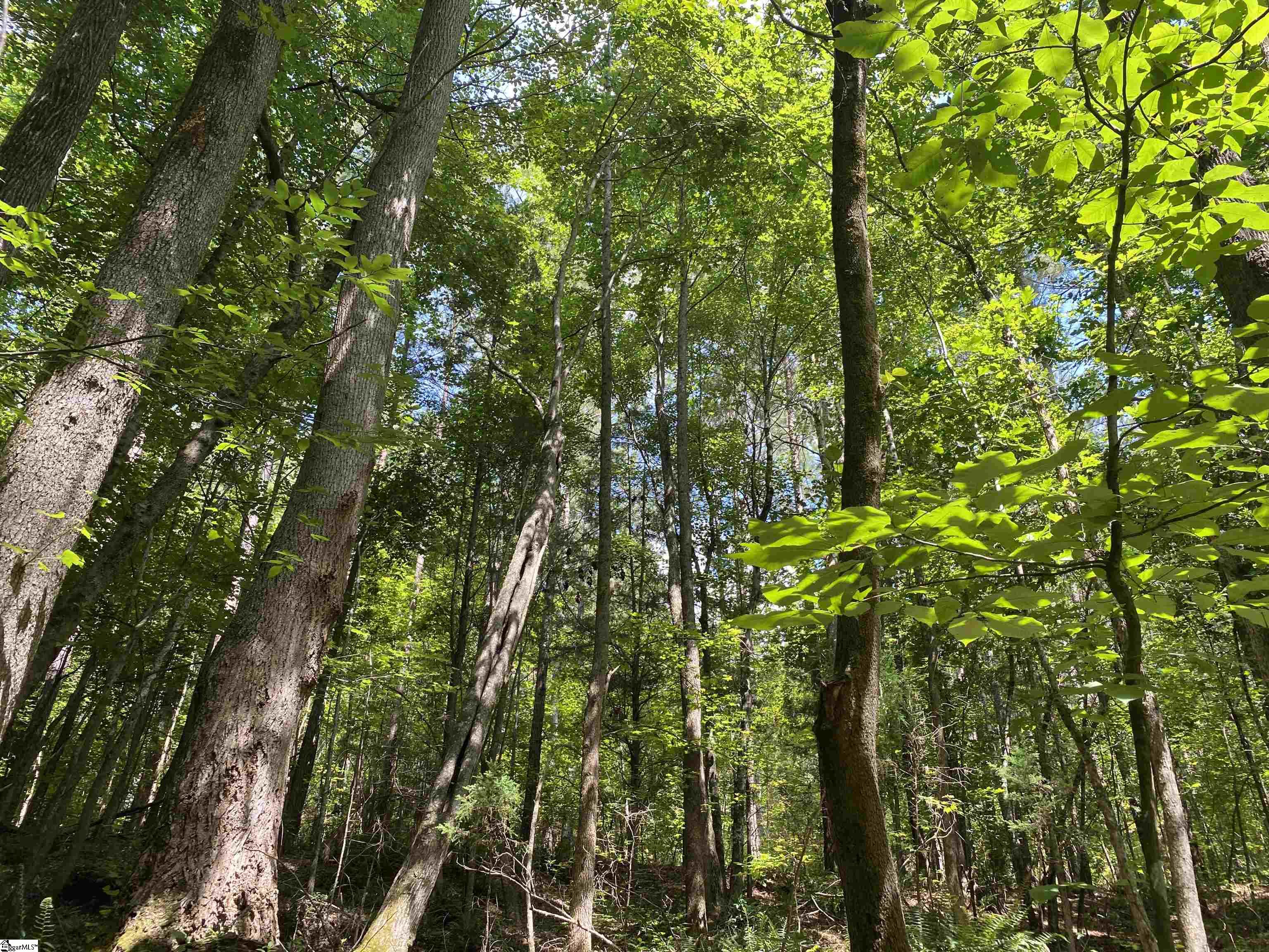00 Indian Creek, Clinton, South Carolina image 15