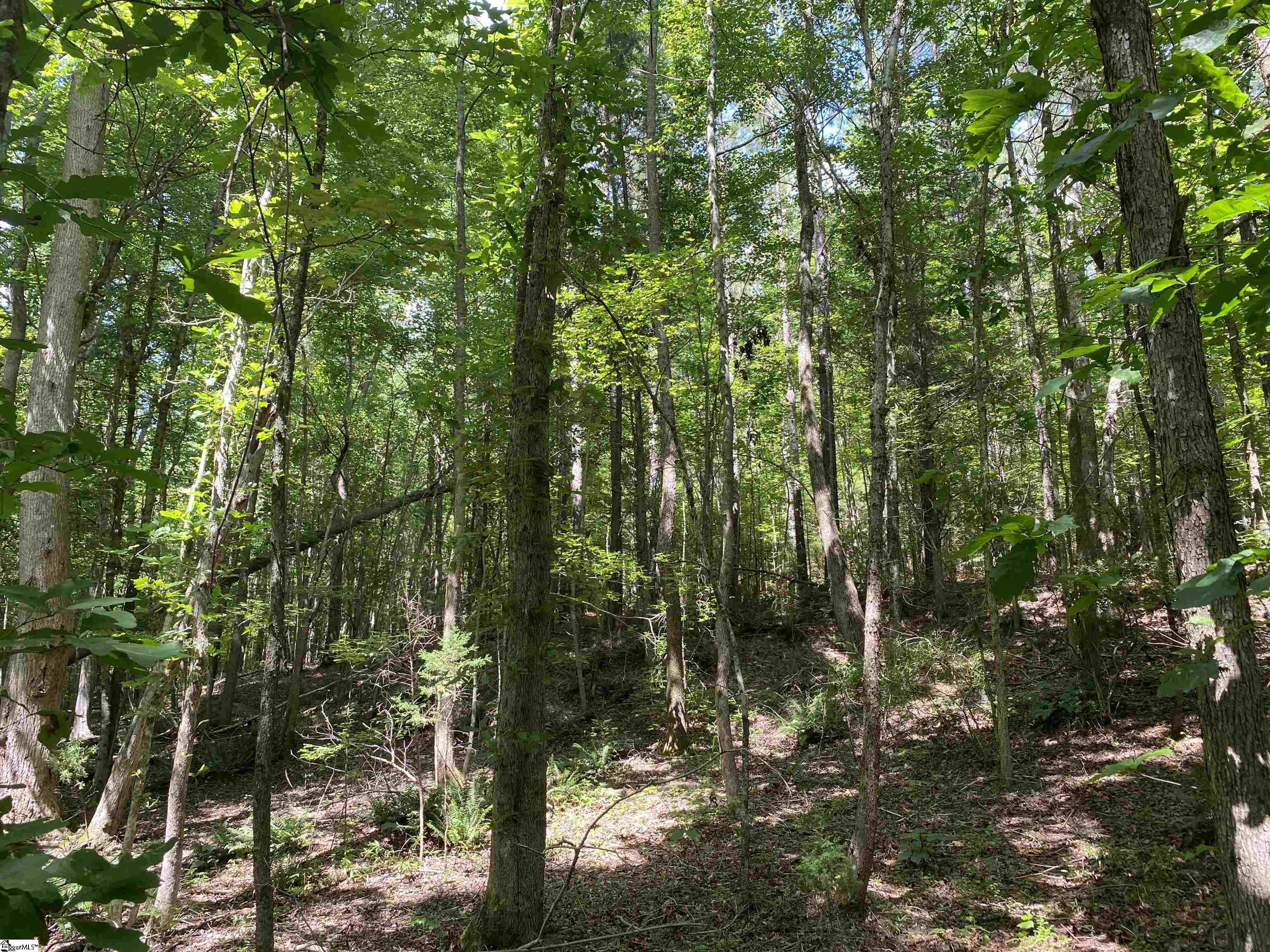 00 Indian Creek, Clinton, South Carolina image 17