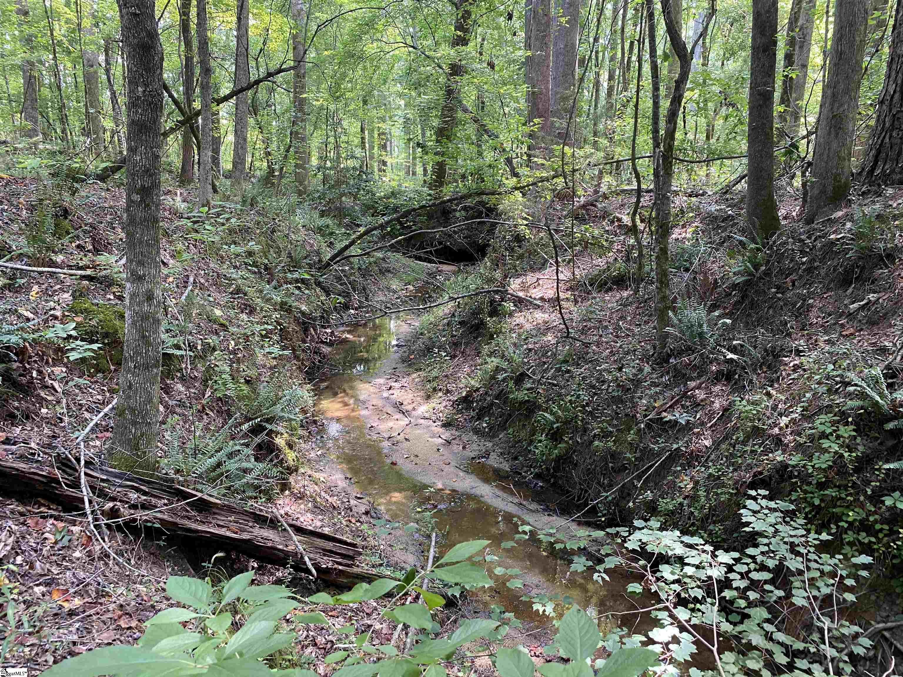 00 Indian Creek, Clinton, South Carolina image 18