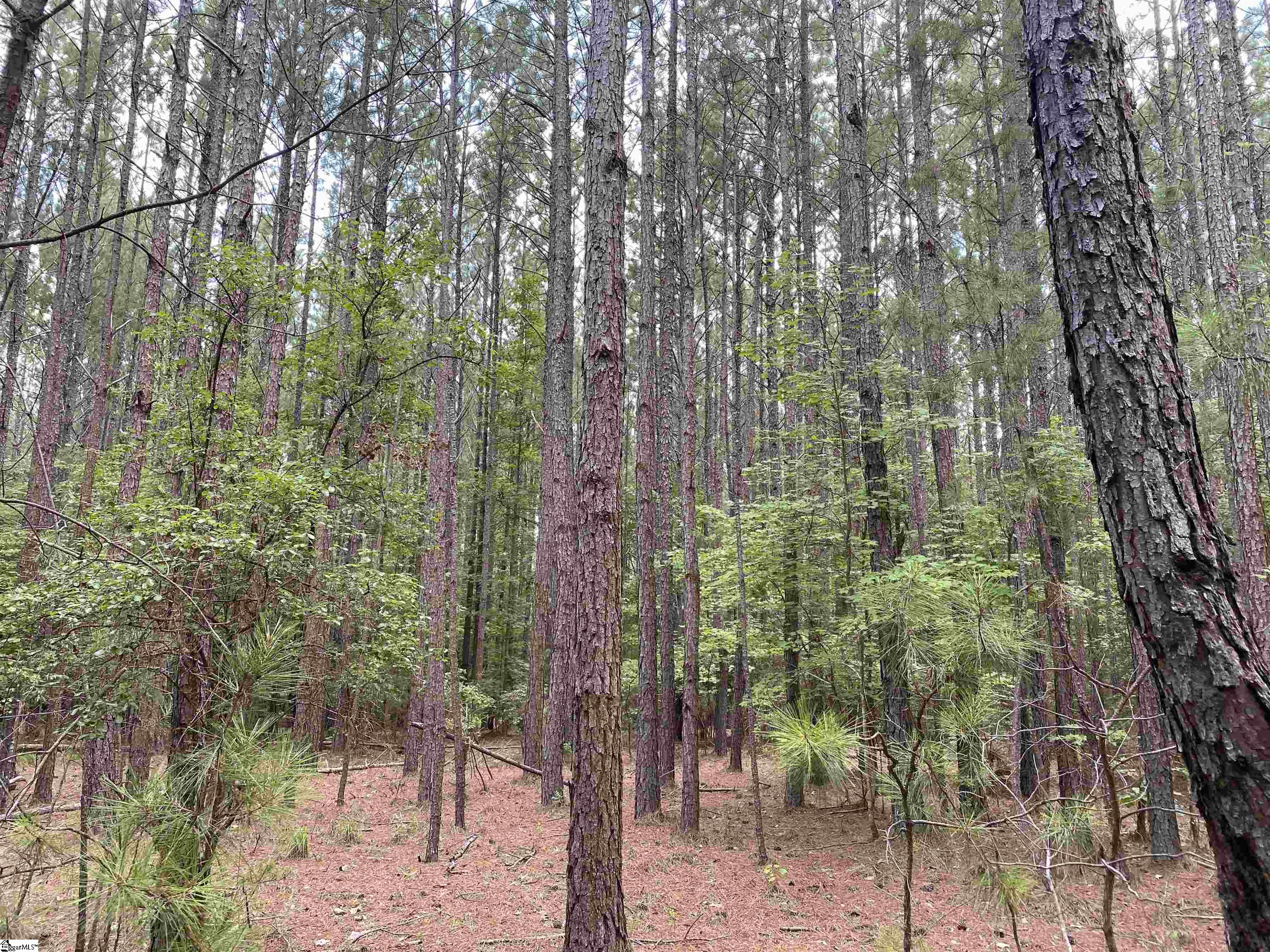 00 Indian Creek, Clinton, South Carolina image 19
