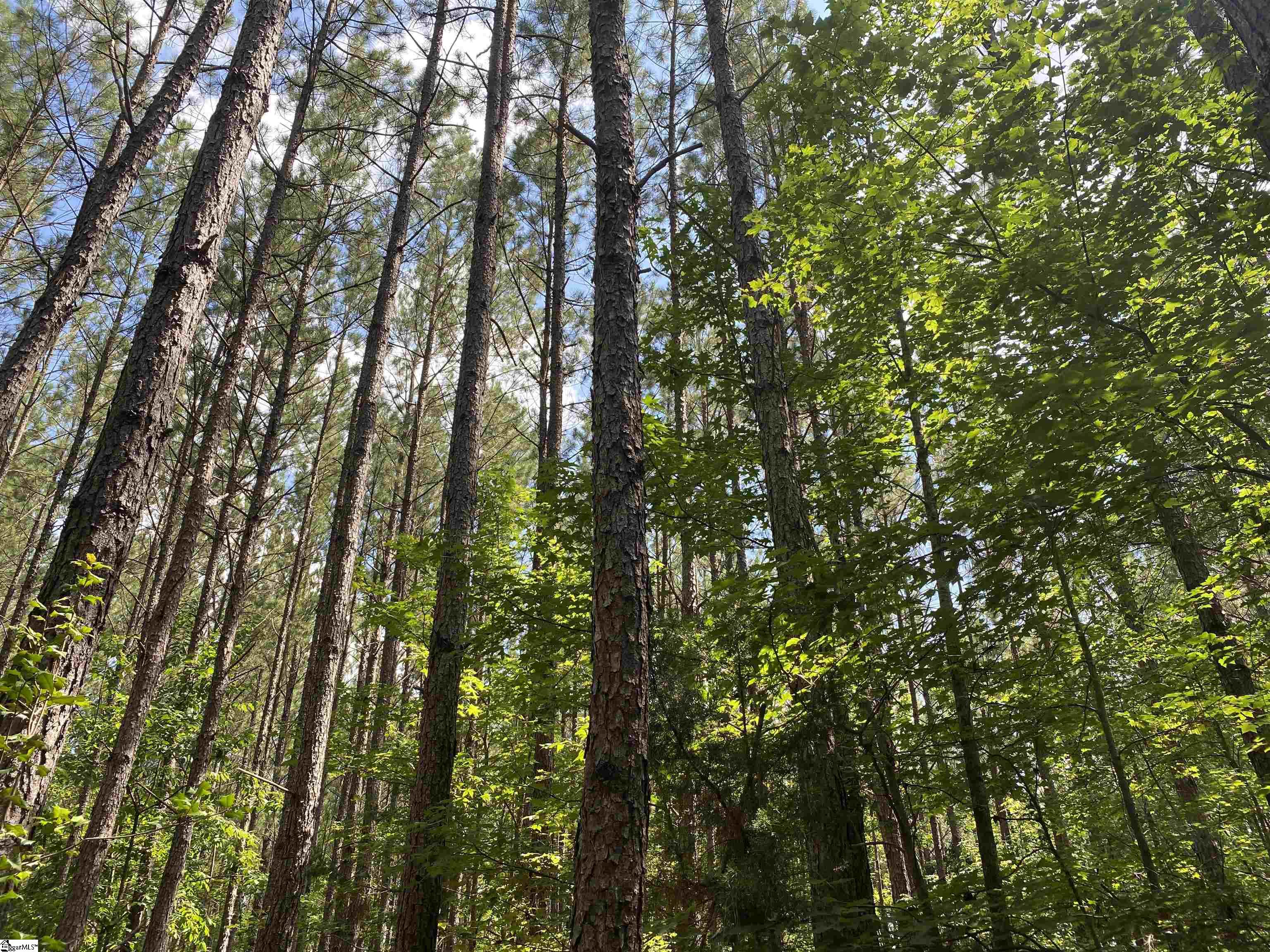 00 Indian Creek, Clinton, South Carolina image 20