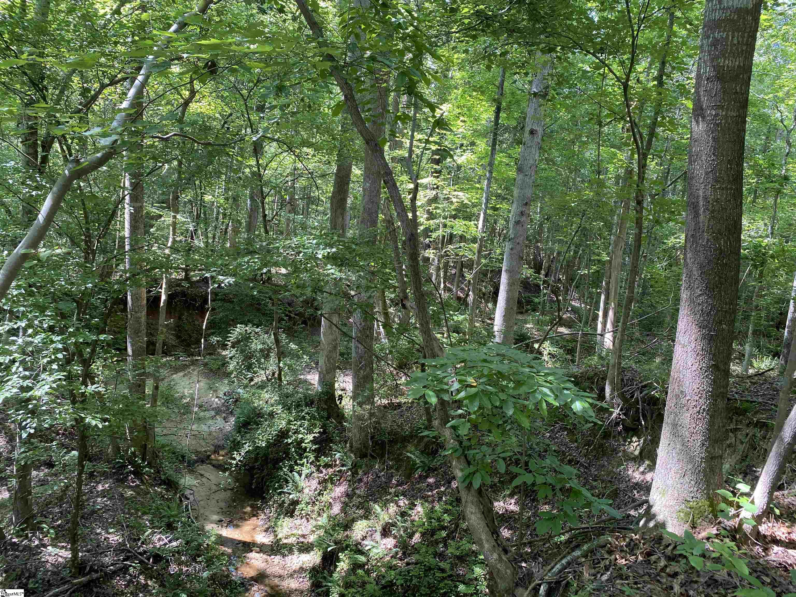 00 Indian Creek, Clinton, South Carolina image 22